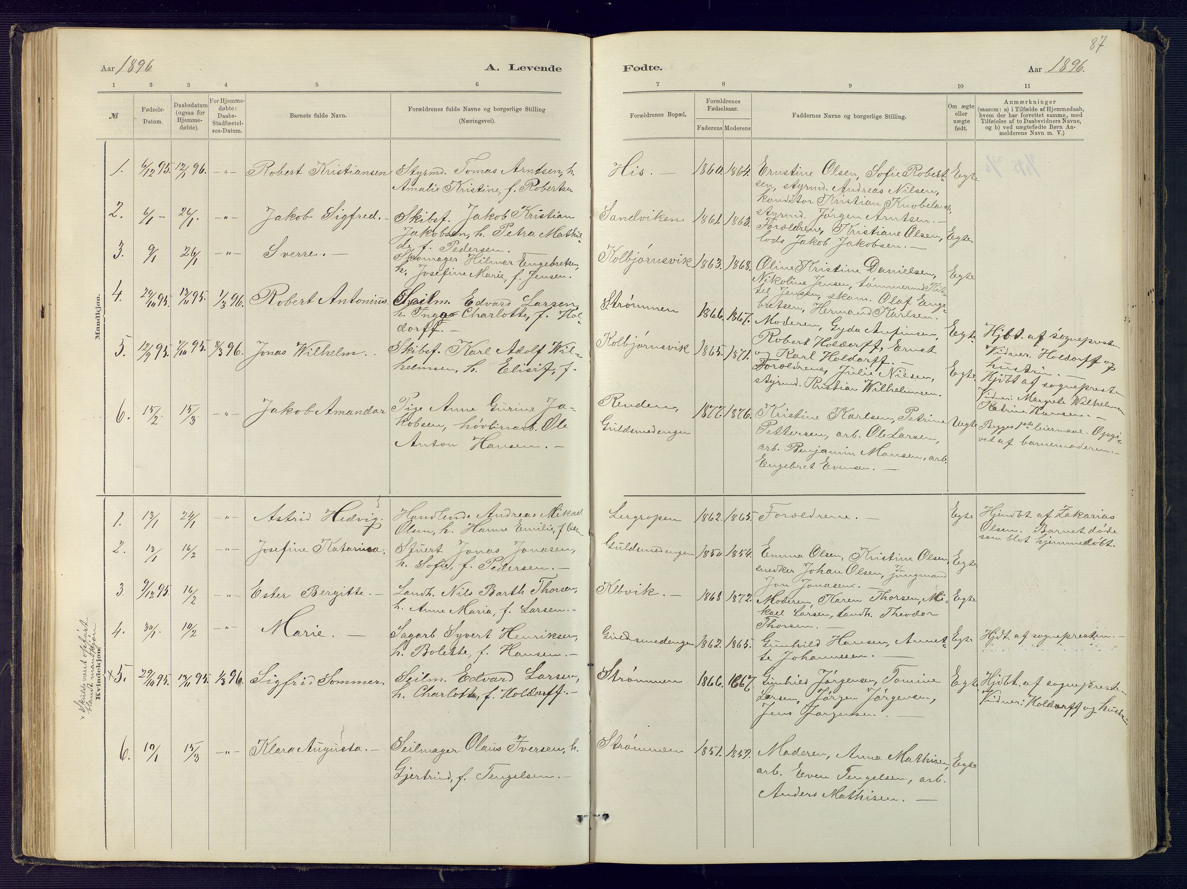 Hisøy sokneprestkontor, AV/SAK-1111-0020/F/Fb/L0003: Parish register (copy) no. B 3, 1885-1905, p. 87