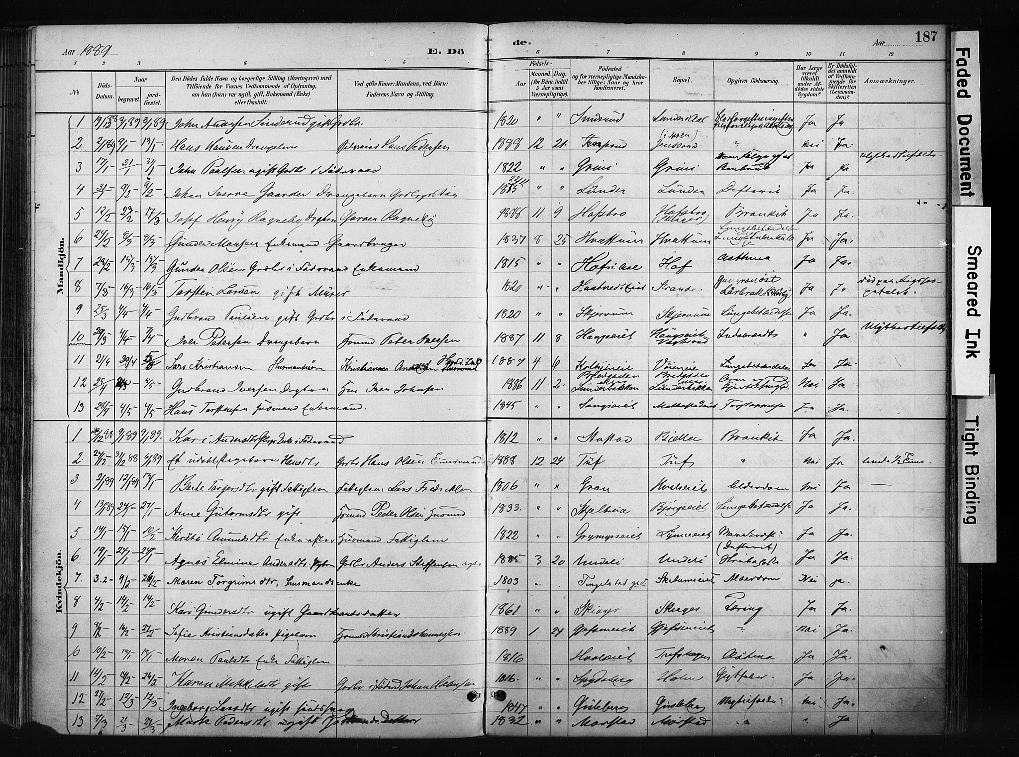Gran prestekontor, SAH/PREST-112/H/Ha/Haa/L0017: Parish register (official) no. 17, 1889-1897, p. 187