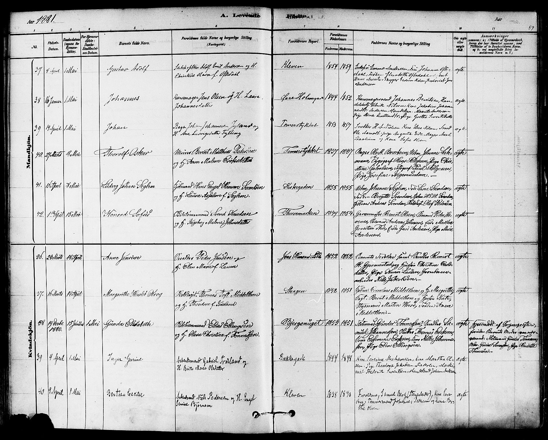 Domkirken sokneprestkontor, AV/SAST-A-101812/001/30/30BA/L0026: Parish register (official) no. A 25, 1878-1889, p. 89