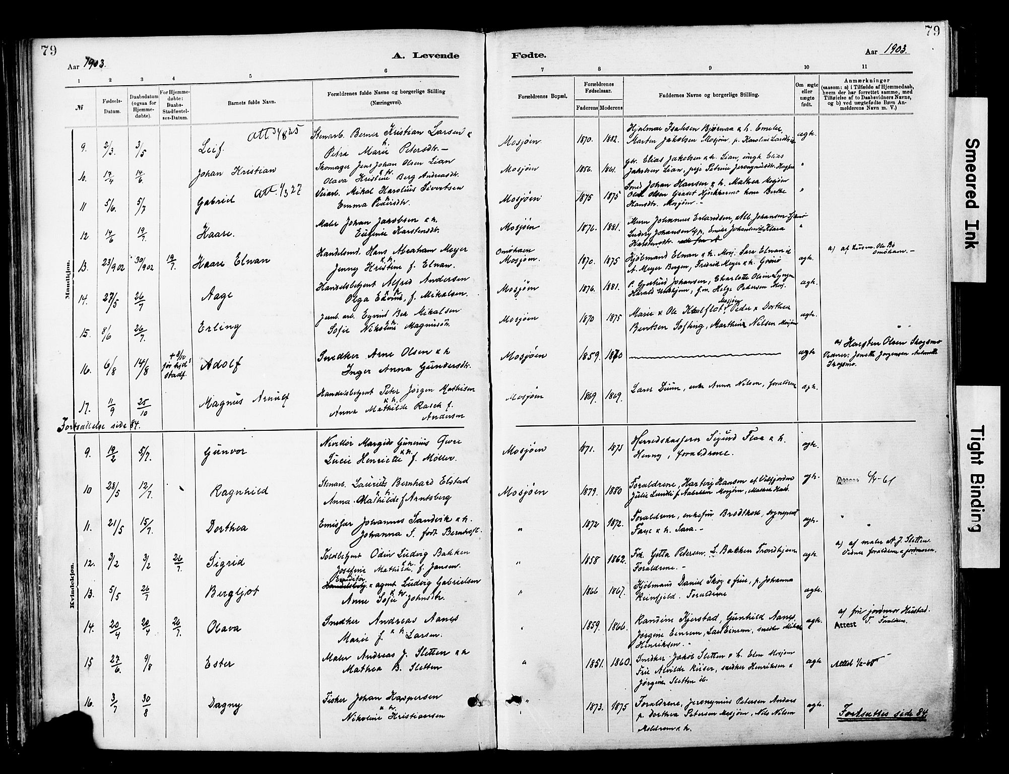 Ministerialprotokoller, klokkerbøker og fødselsregistre - Nordland, AV/SAT-A-1459/820/L0296: Parish register (official) no. 820A17, 1880-1903, p. 79