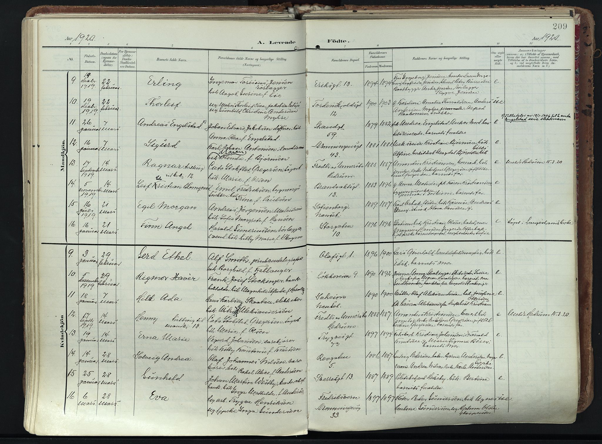 Larvik kirkebøker, AV/SAKO-A-352/F/Fa/L0012: Parish register (official) no. I 12, 1905-1933, p. 209