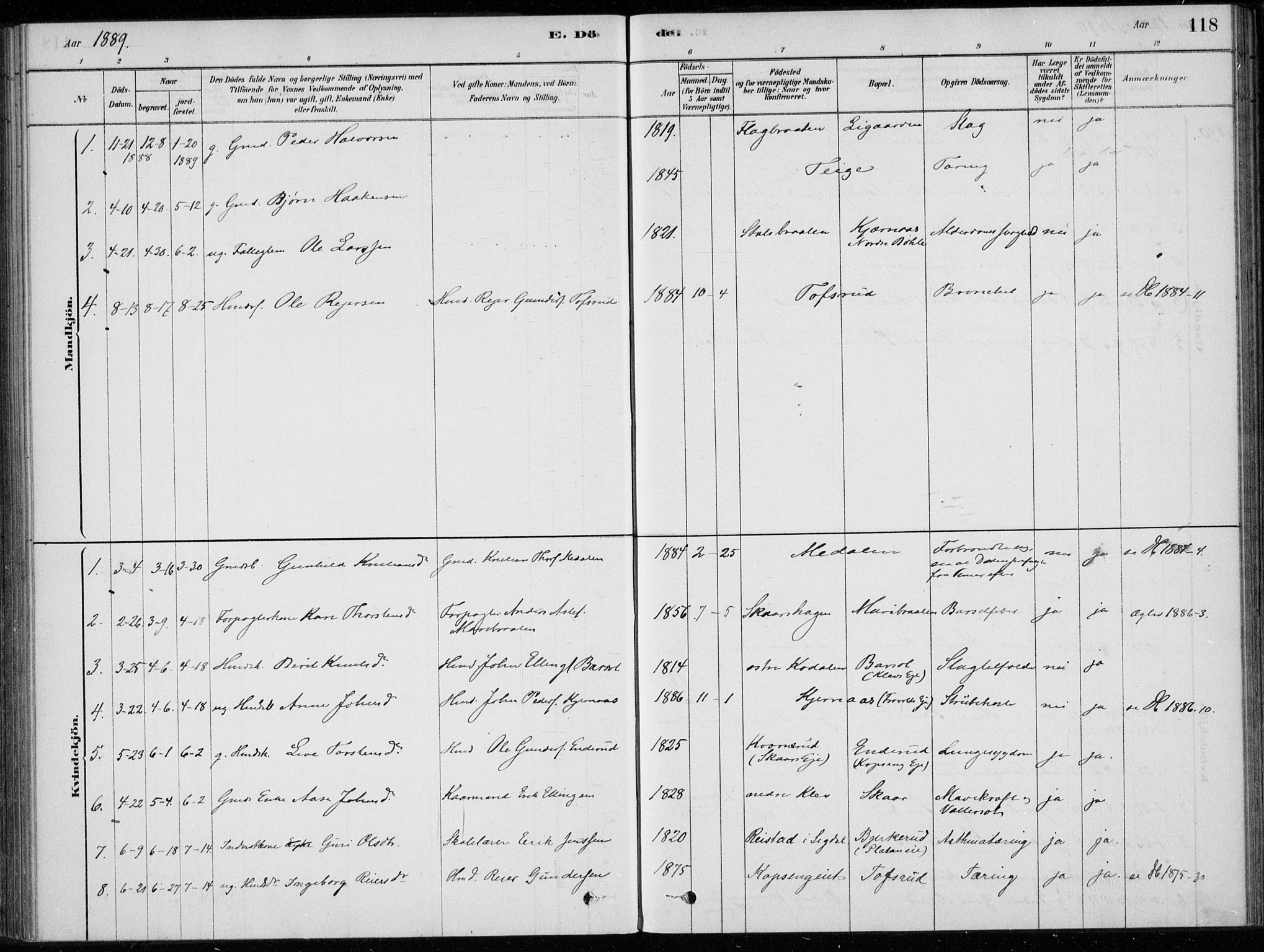 Sigdal kirkebøker, SAKO/A-245/F/Fc/L0001: Parish register (official) no. III 1, 1879-1893, p. 118