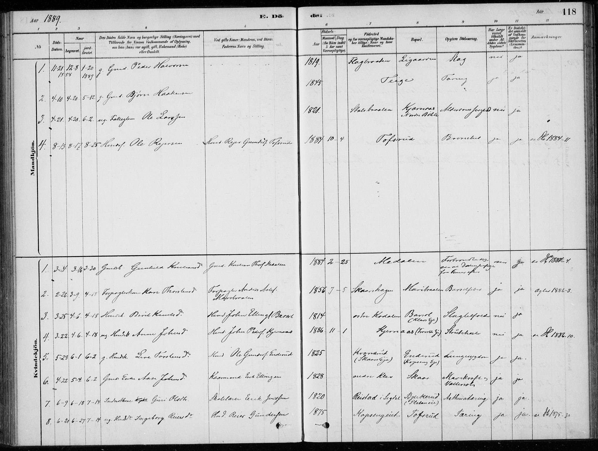 Sigdal kirkebøker, AV/SAKO-A-245/F/Fc/L0001: Parish register (official) no. III 1, 1879-1893, p. 118