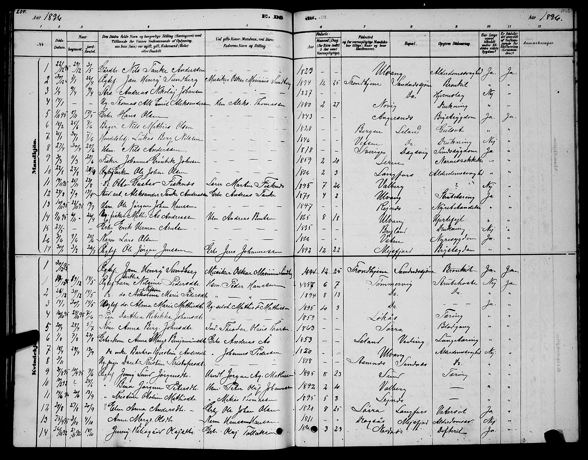 Ministerialprotokoller, klokkerbøker og fødselsregistre - Nordland, AV/SAT-A-1459/831/L0477: Parish register (copy) no. 831C04, 1878-1897, p. 205