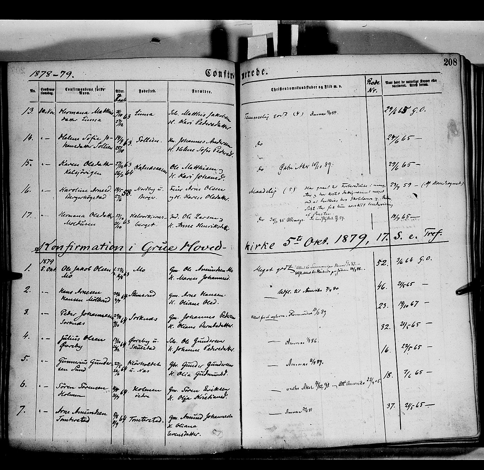 Grue prestekontor, AV/SAH-PREST-036/H/Ha/Haa/L0011: Parish register (official) no. 11, 1873-1880, p. 208