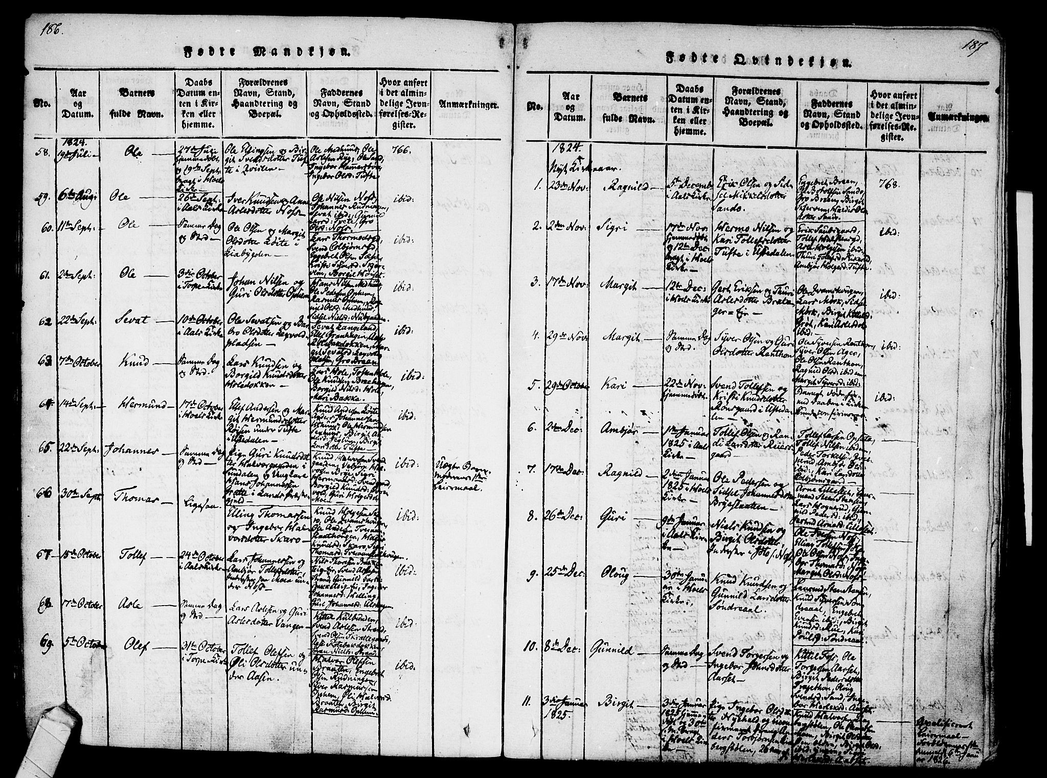 Ål kirkebøker, SAKO/A-249/F/Fa/L0004: Parish register (official) no. I 4, 1815-1825, p. 186-187