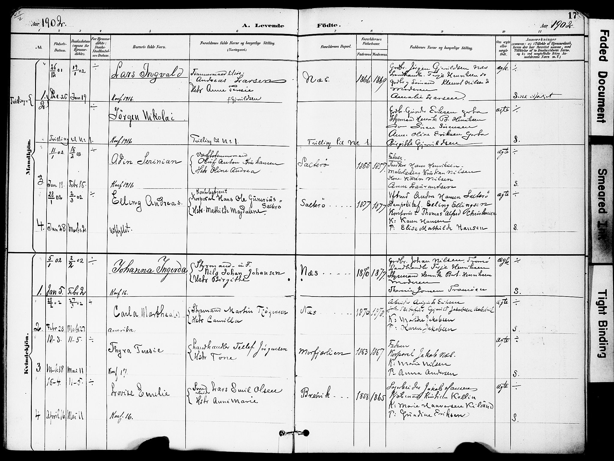 Austre Moland sokneprestkontor, AV/SAK-1111-0001/F/Fa/Fab/L0002: Parish register (official) no. A 2, 1894-1919, p. 17