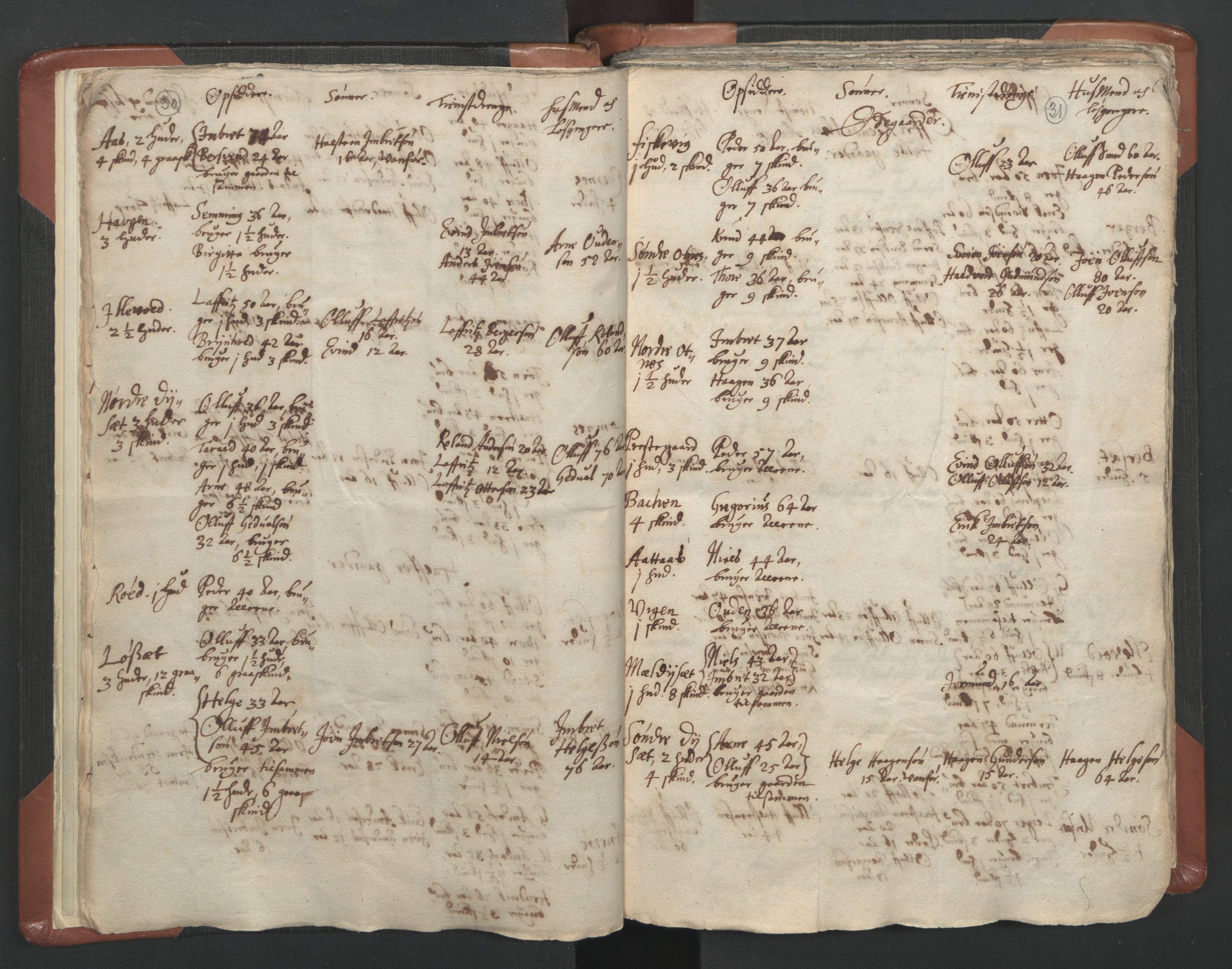 RA, Vicar's Census 1664-1666, no. 5: Hedmark deanery, 1664-1666, p. 30-31