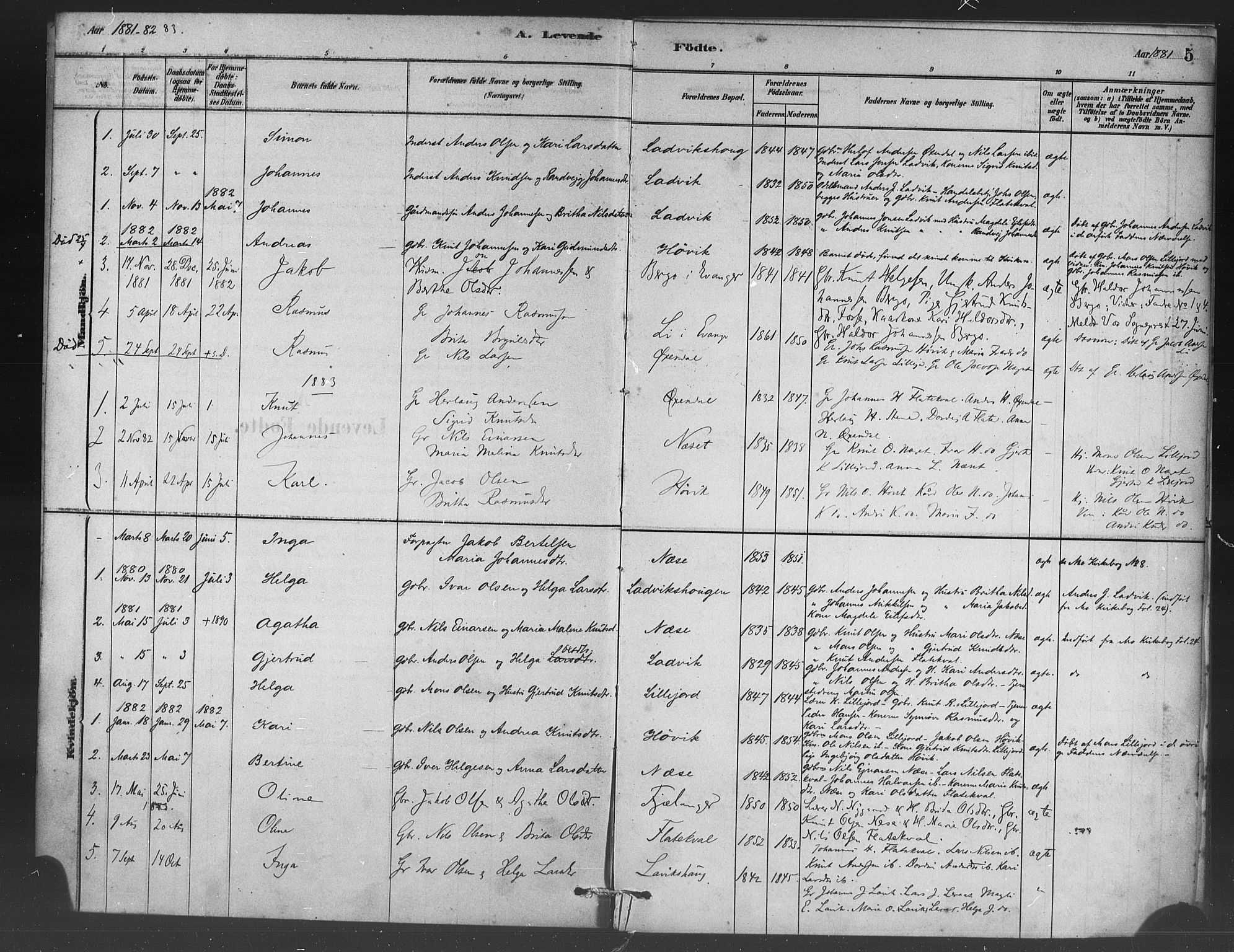 Vaksdal Sokneprestembete, SAB/A-78901/H/Haa: Parish register (official) no. C 1, 1881-1900, p. 5
