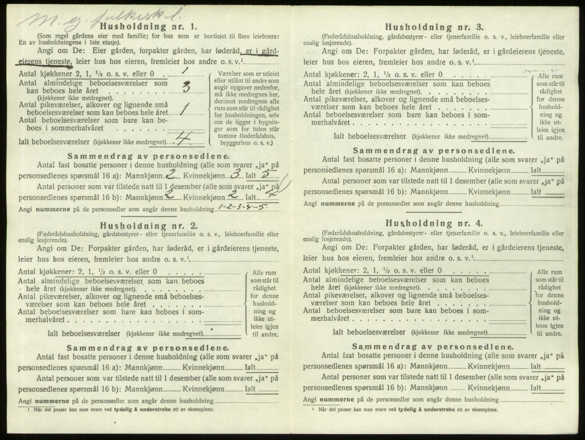 SAO, 1920 census for Skjeberg, 1920, p. 619