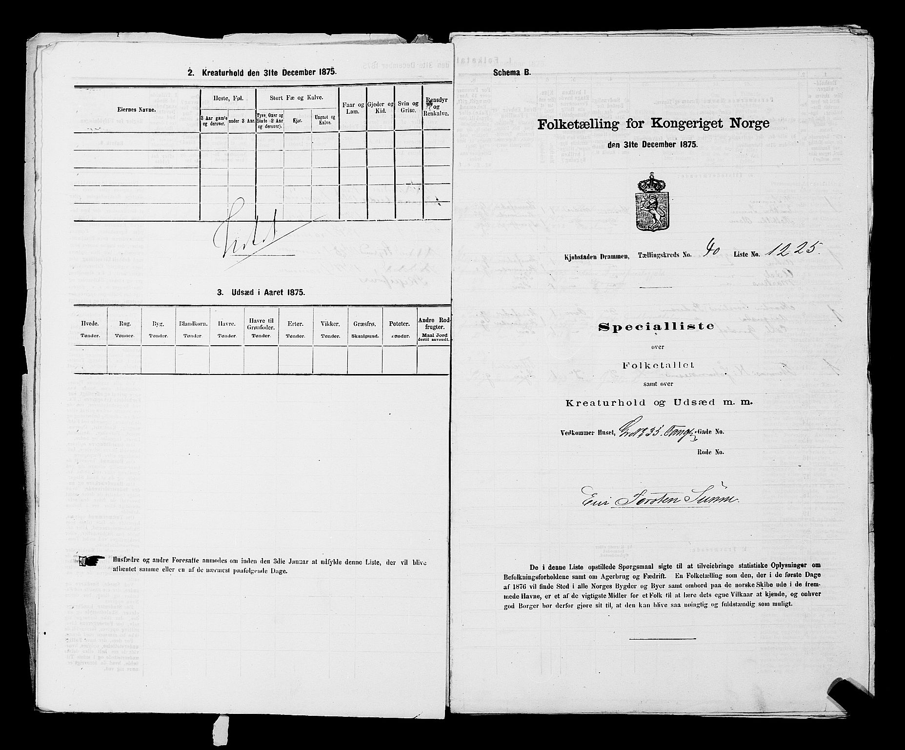 SAKO, 1875 census for 0602 Drammen, 1875, p. 3379