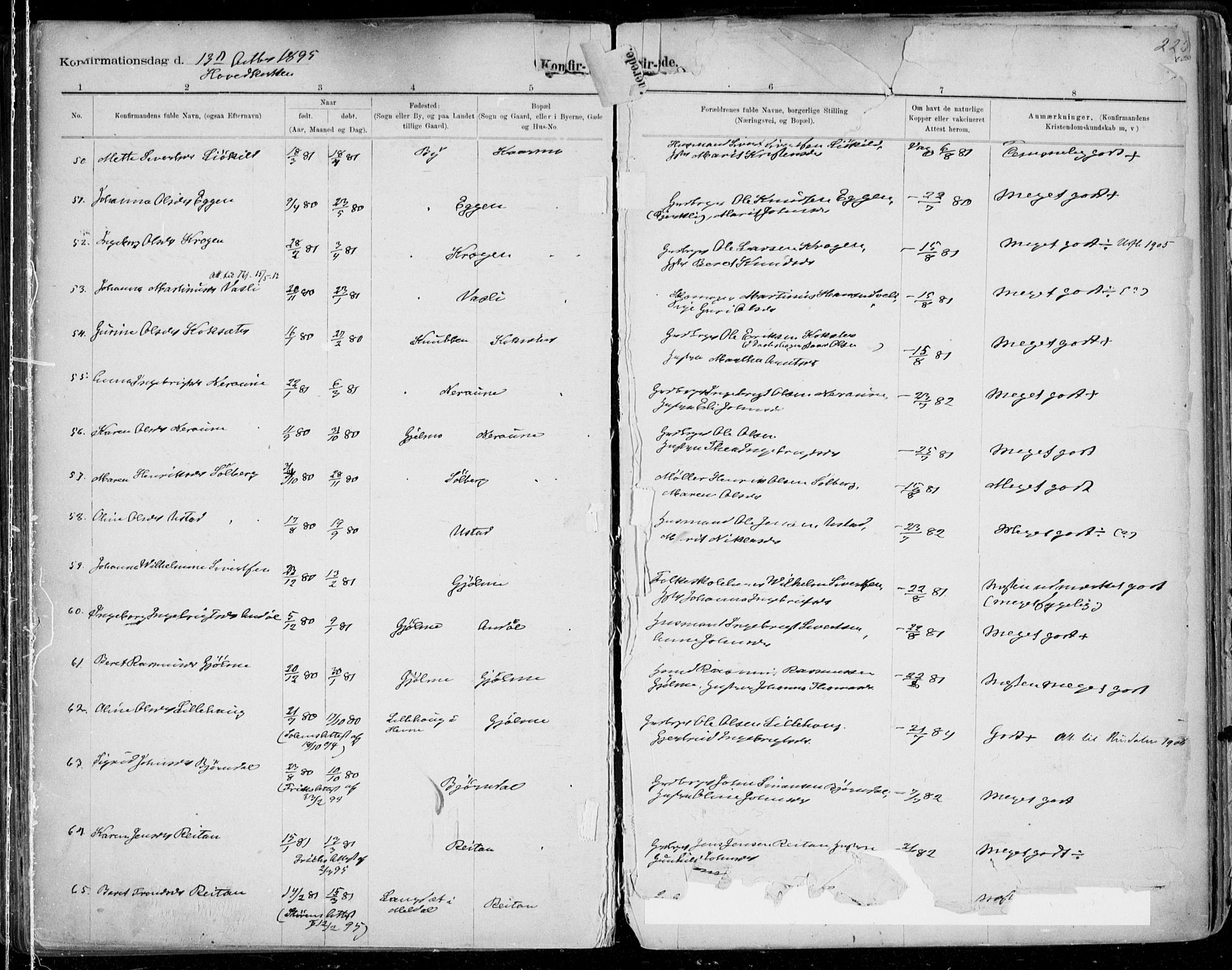 Ministerialprotokoller, klokkerbøker og fødselsregistre - Sør-Trøndelag, SAT/A-1456/668/L0811: Parish register (official) no. 668A11, 1894-1913, p. 225