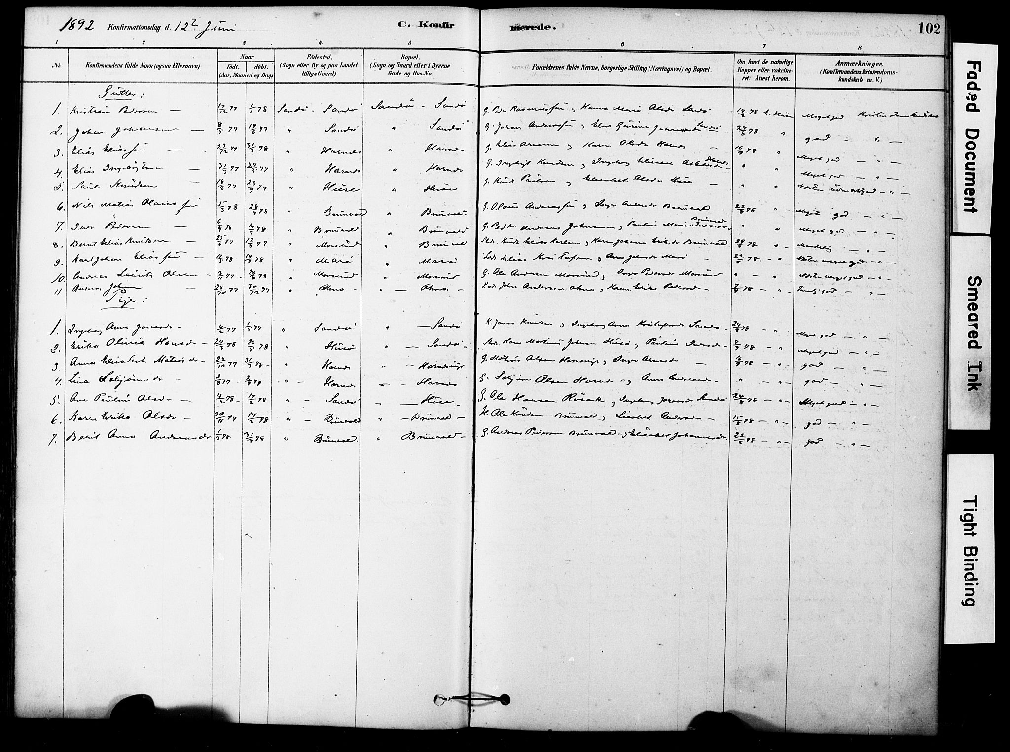 Ministerialprotokoller, klokkerbøker og fødselsregistre - Møre og Romsdal, AV/SAT-A-1454/561/L0729: Parish register (official) no. 561A03, 1878-1900, p. 102