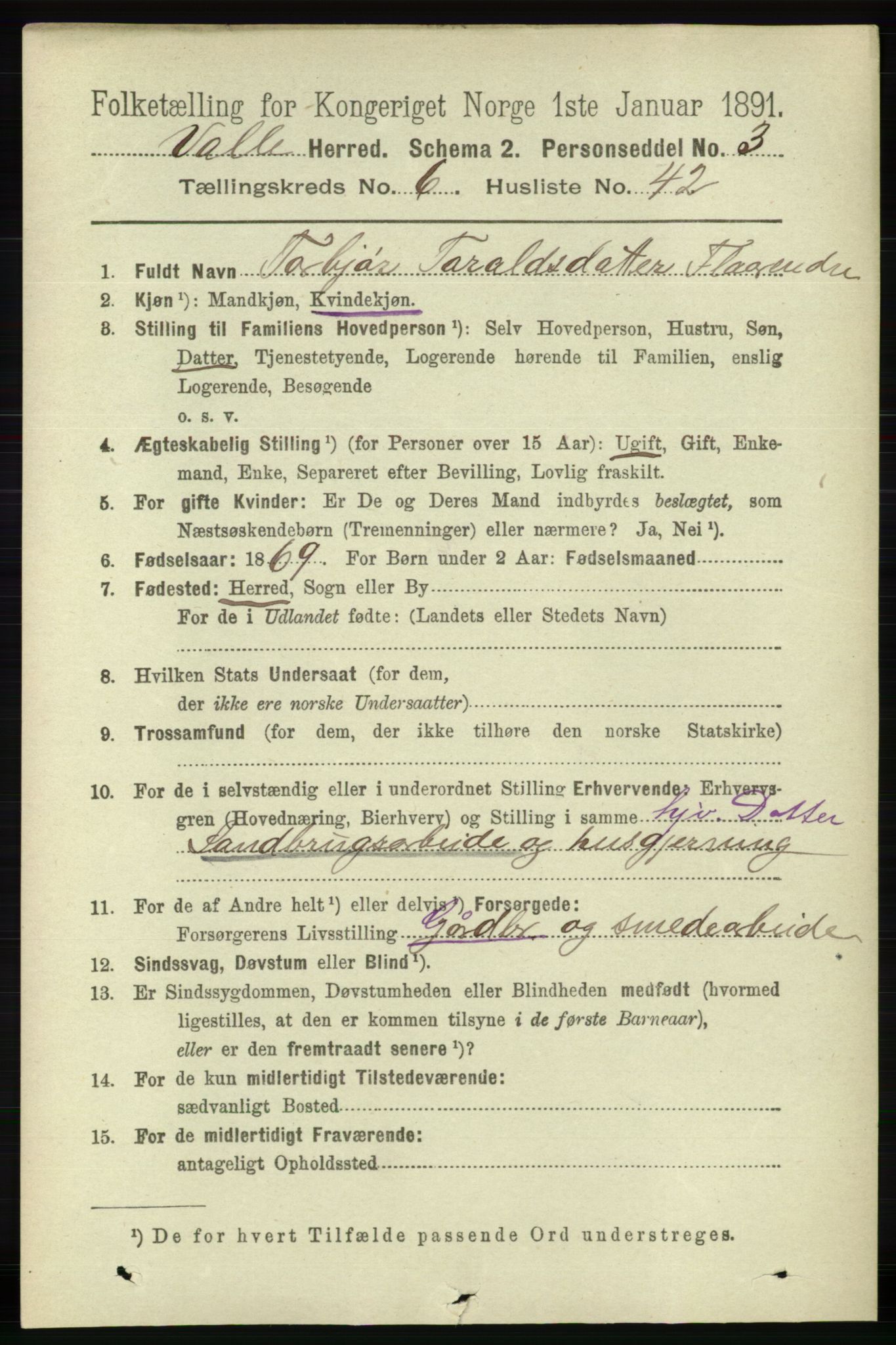 RA, 1891 census for 0940 Valle, 1891, p. 1920