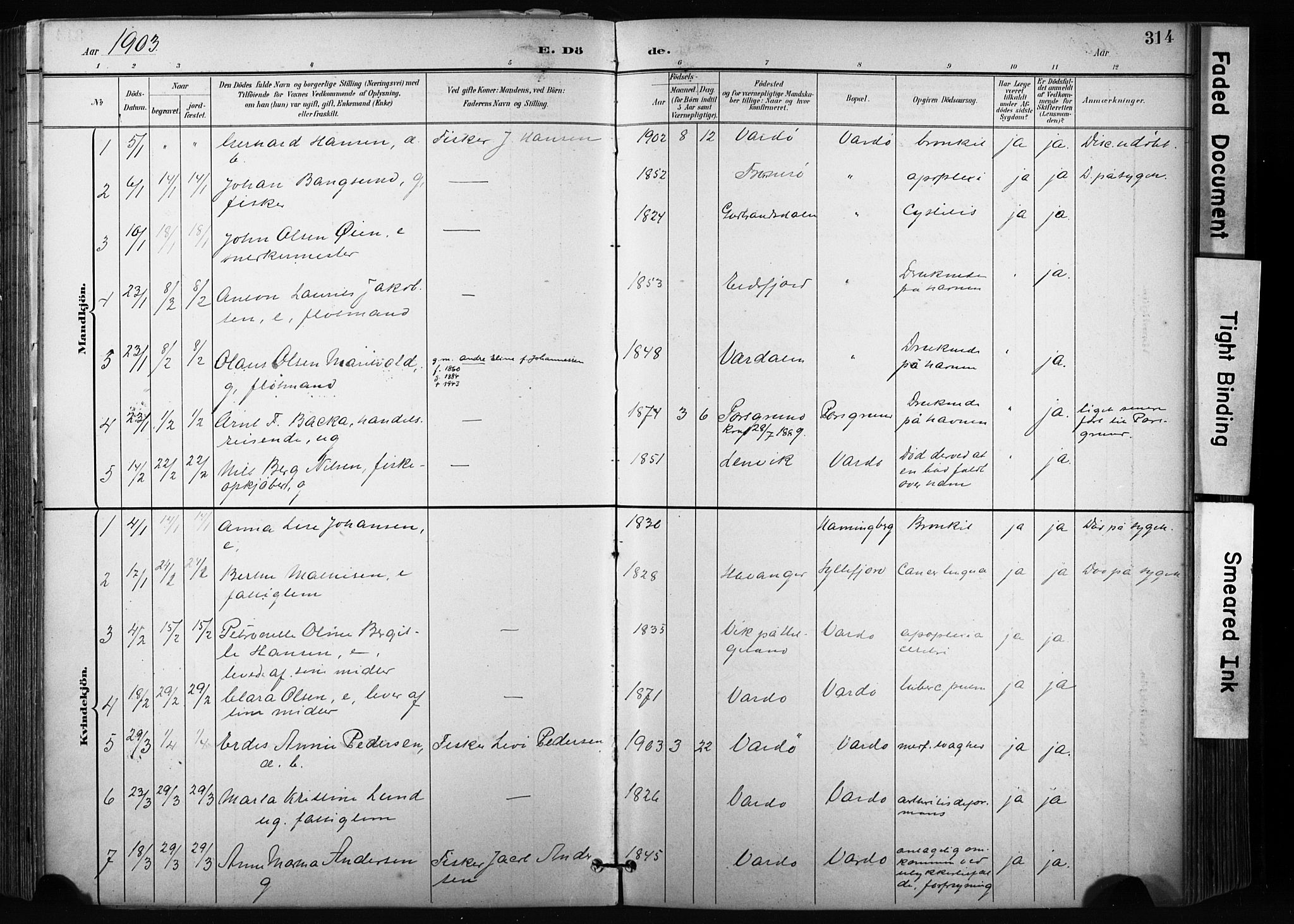 Vardø sokneprestkontor, SATØ/S-1332/H/Ha/L0010kirke: Parish register (official) no. 10, 1895-1907, p. 314