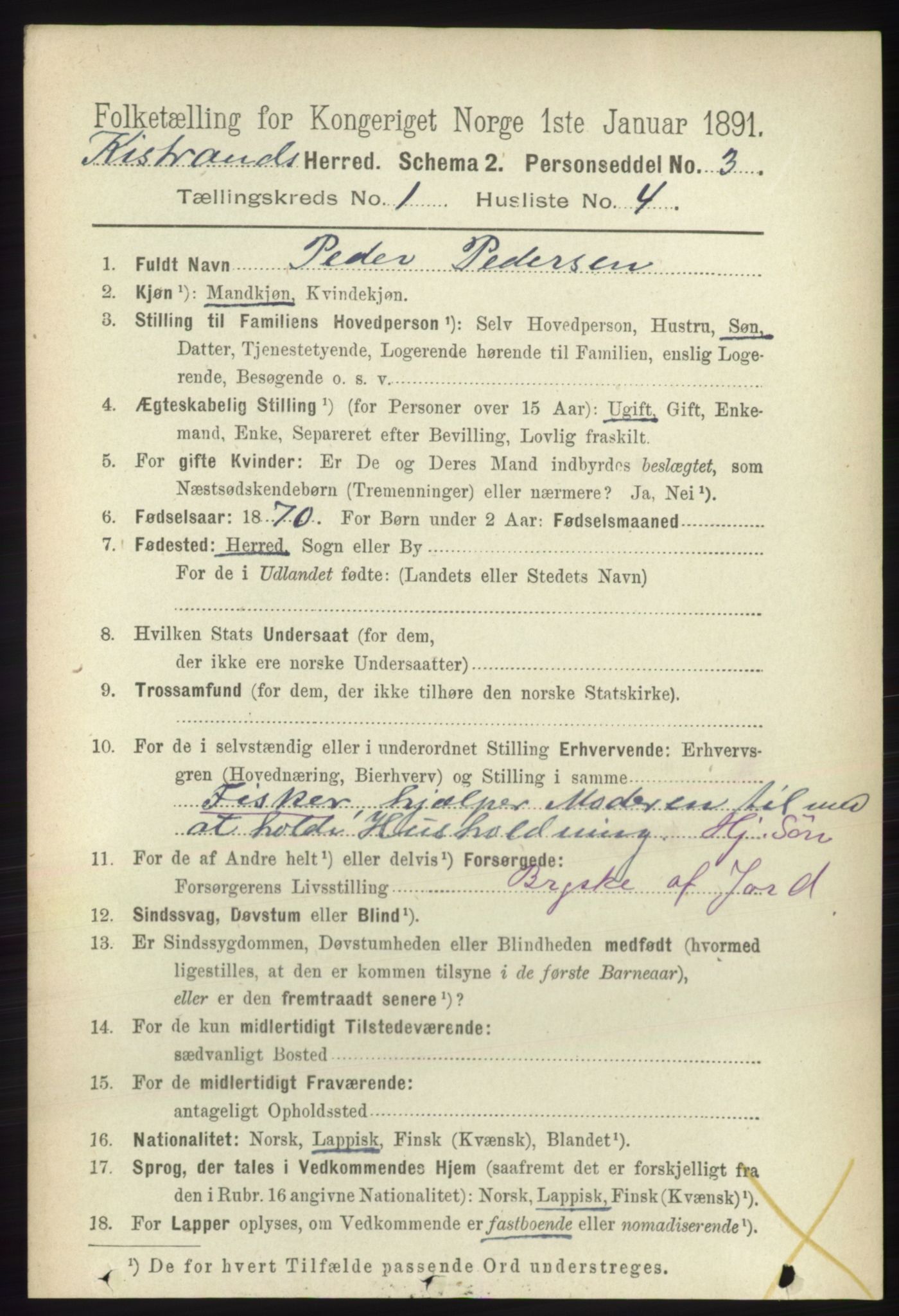 RA, 1891 census for 2020 Kistrand, 1891, p. 103