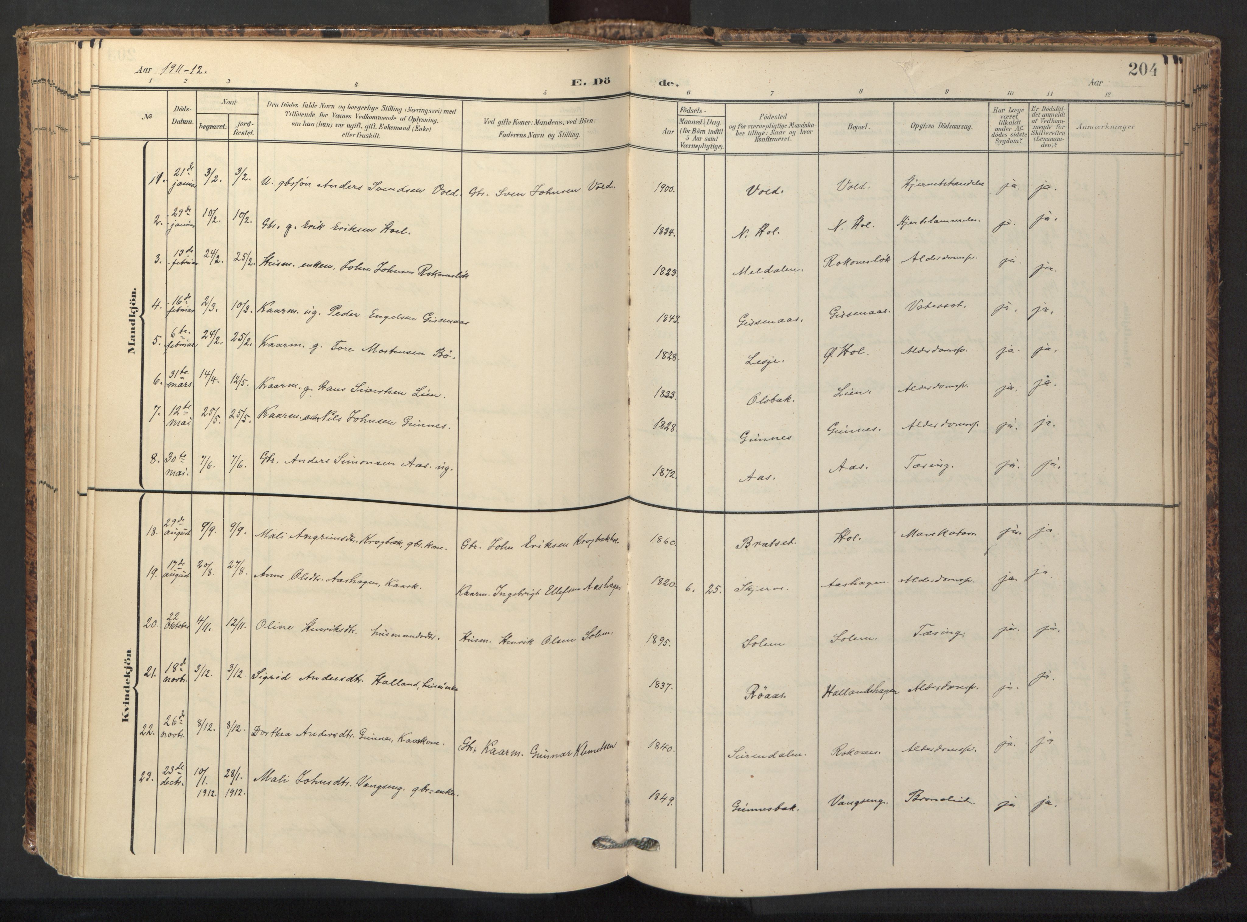 Ministerialprotokoller, klokkerbøker og fødselsregistre - Sør-Trøndelag, SAT/A-1456/674/L0873: Parish register (official) no. 674A05, 1908-1923, p. 204