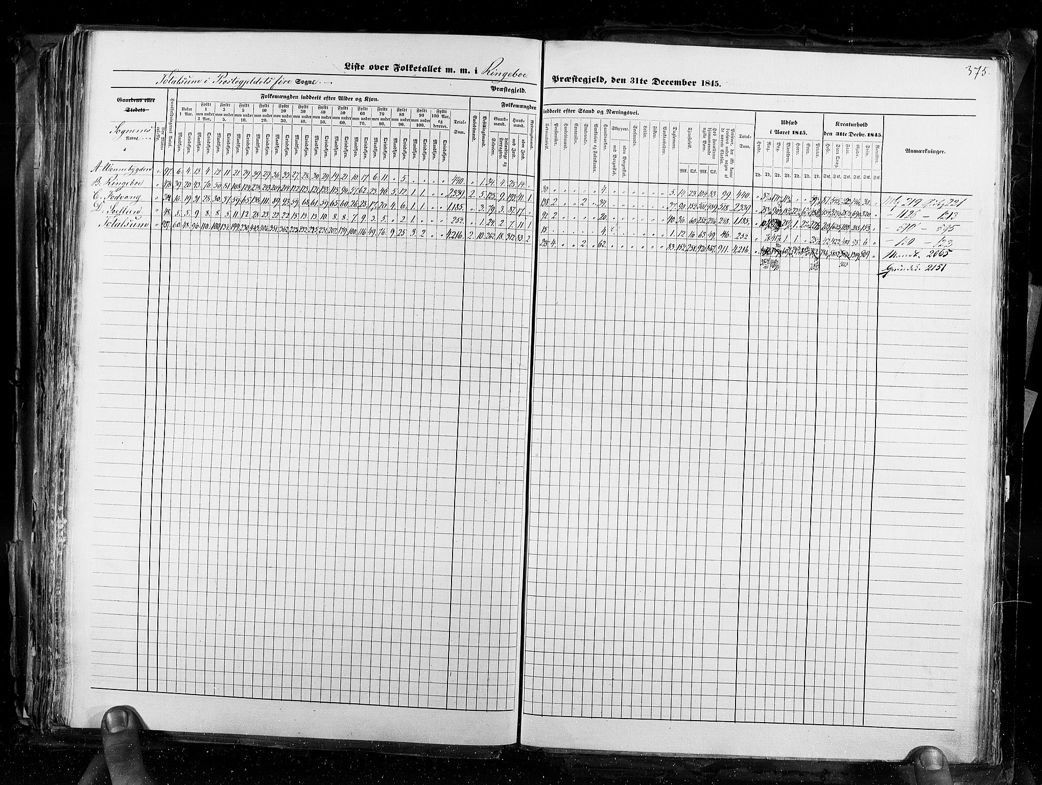 RA, Census 1845, vol. 3: Hedemarken amt og Kristians amt, 1845, p. 375