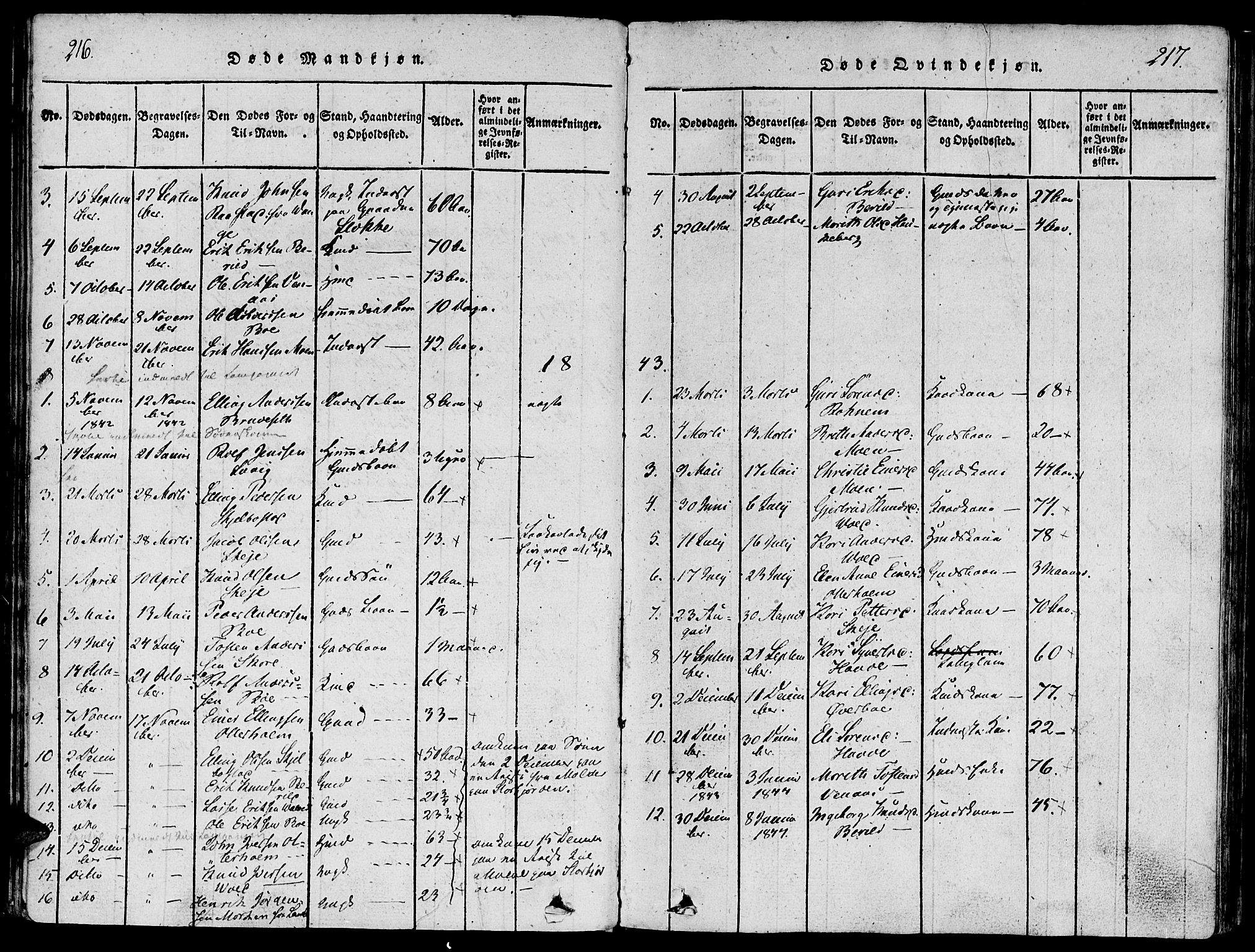Ministerialprotokoller, klokkerbøker og fødselsregistre - Møre og Romsdal, SAT/A-1454/543/L0561: Parish register (official) no. 543A01, 1818-1853, p. 216-217