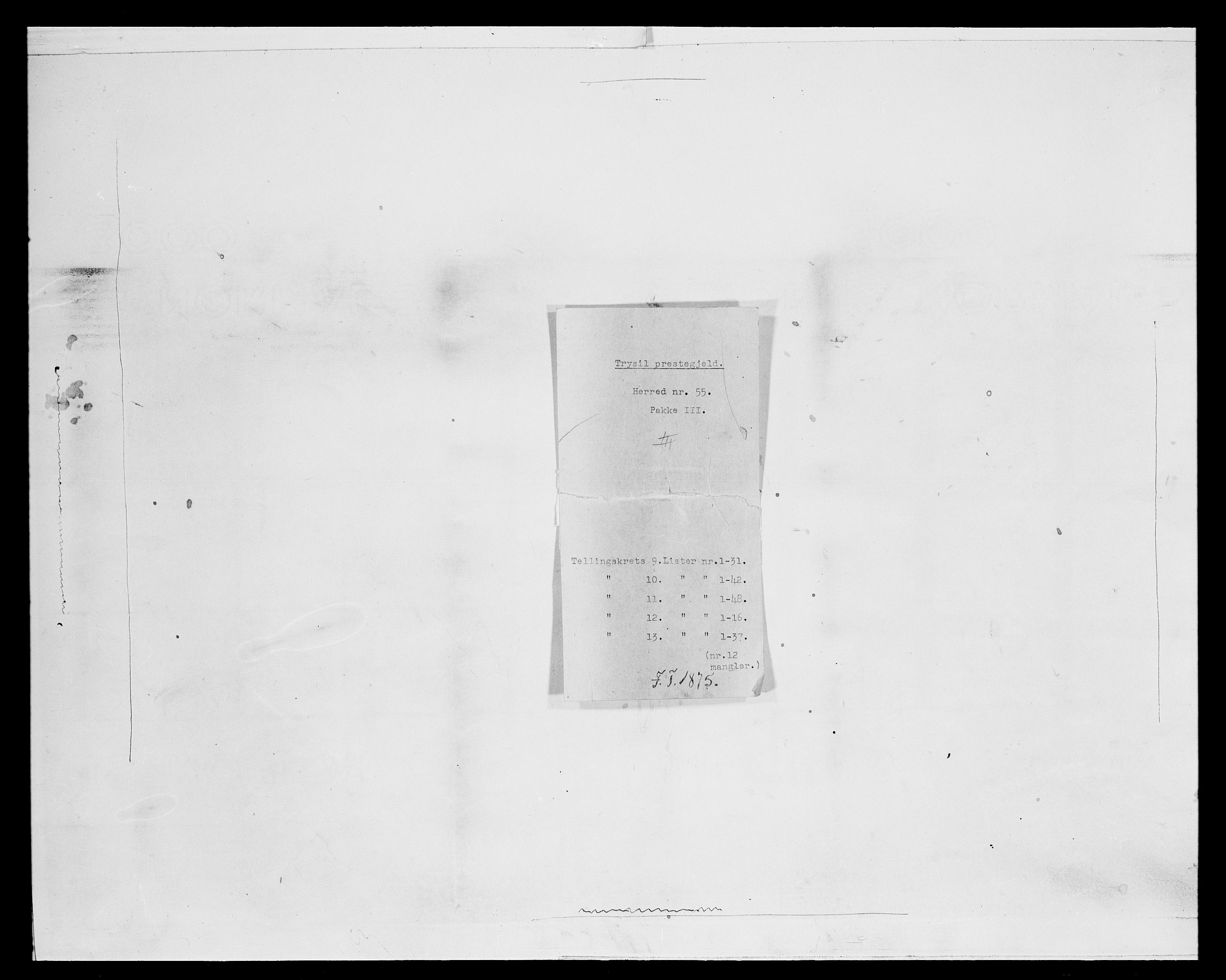 SAH, 1875 census for 0428P Trysil, 1875, p. 1074