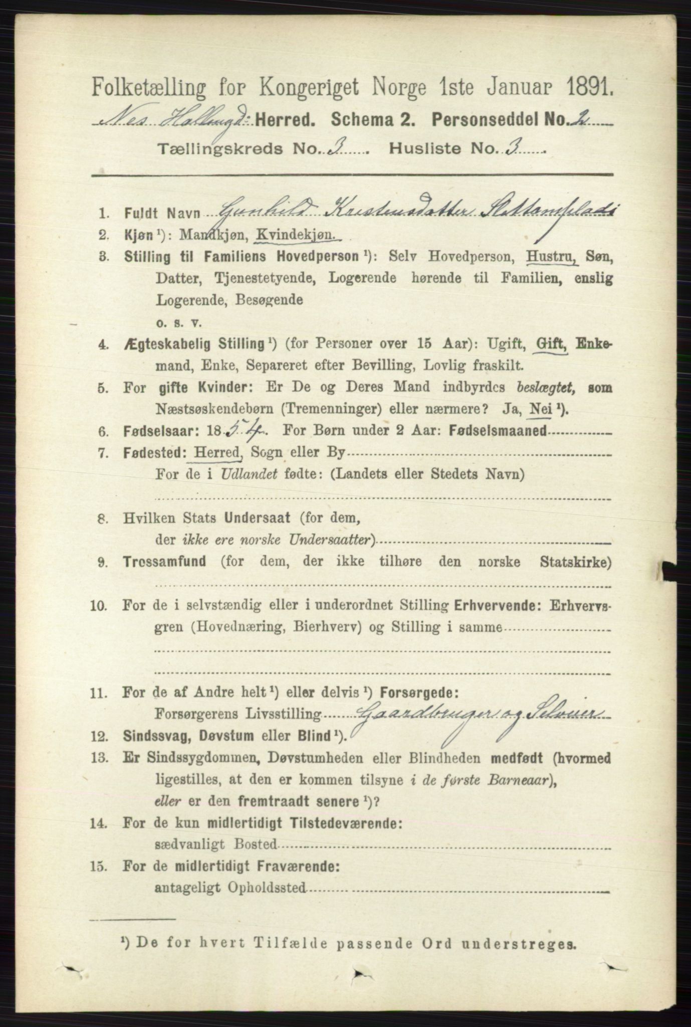 RA, 1891 census for 0616 Nes, 1891, p. 1524