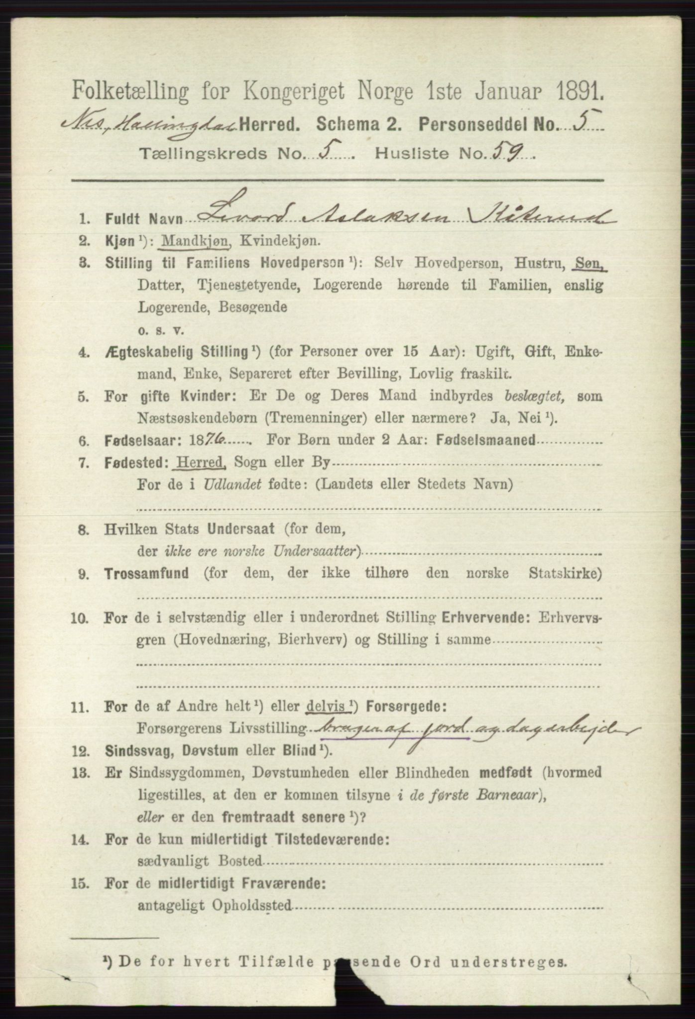 RA, 1891 census for 0616 Nes, 1891, p. 2936