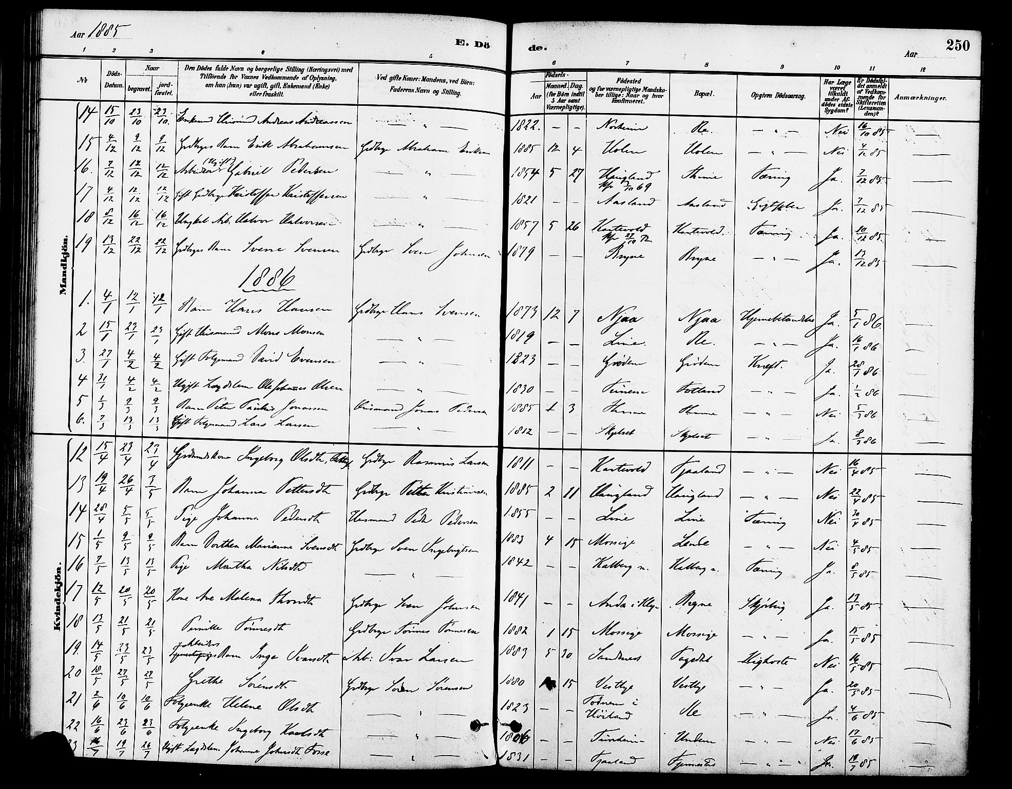 Lye sokneprestkontor, SAST/A-101794/001/30BA/L0009: Parish register (official) no. A 8, 1881-1892, p. 250