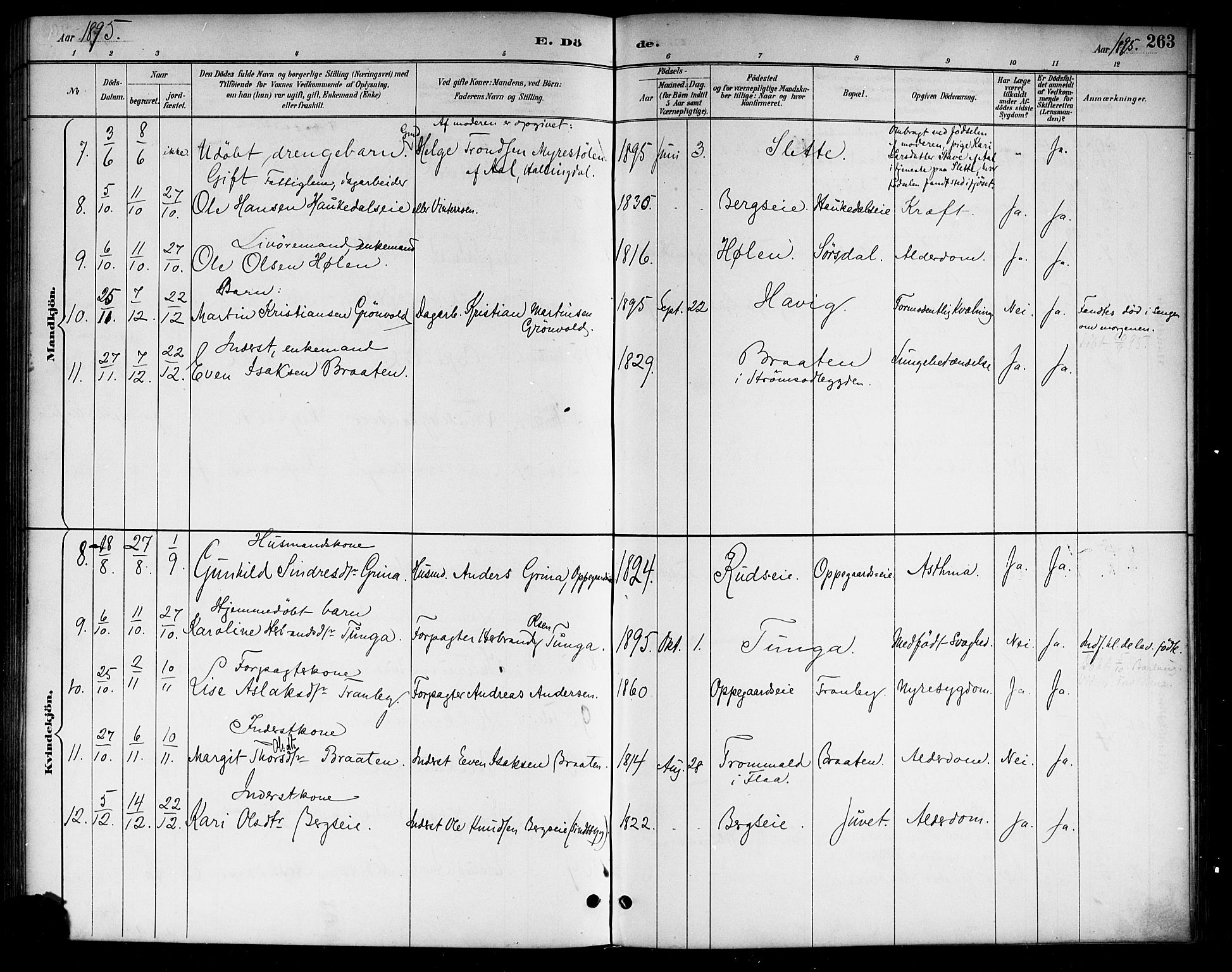 Lunder kirkebøker, SAKO/A-629/G/Ga/L0004: Parish register (copy) no. I 4, 1889-1917, p. 263