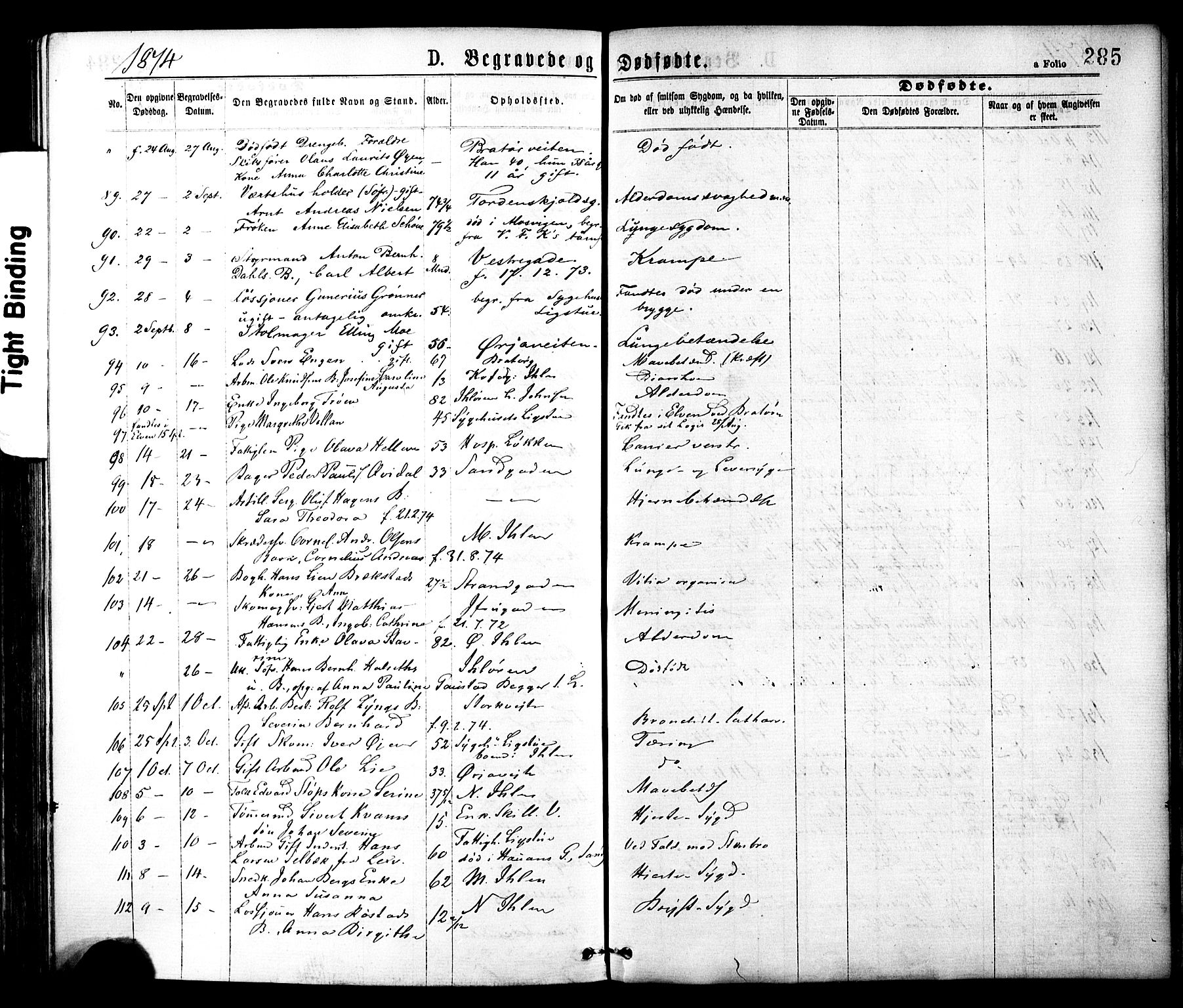 Ministerialprotokoller, klokkerbøker og fødselsregistre - Sør-Trøndelag, SAT/A-1456/602/L0118: Parish register (official) no. 602A16, 1873-1879, p. 285