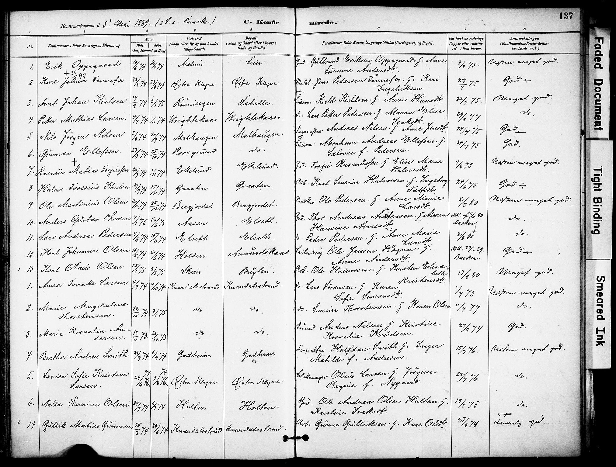 Solum kirkebøker, SAKO/A-306/F/Fa/L0010: Parish register (official) no. I 10, 1888-1898, p. 137