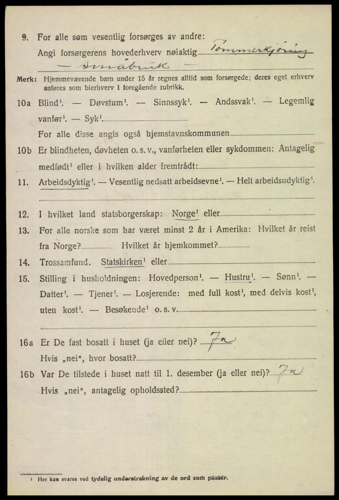 SAH, 1920 census for Vang (Hedmark), 1920, p. 18232