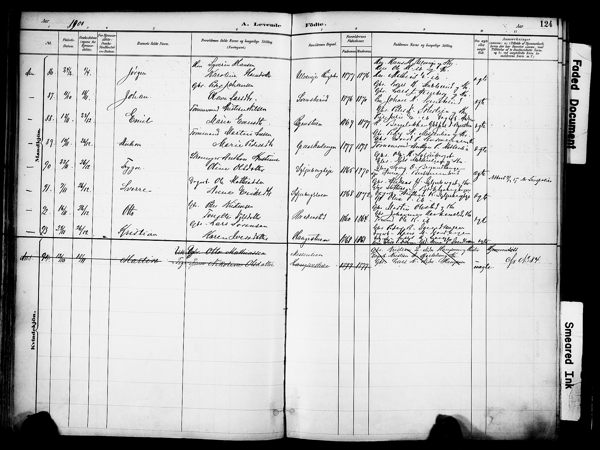 Ringsaker prestekontor, AV/SAH-PREST-014/K/Ka/L0017: Parish register (official) no. 17, 1891-1902, p. 124