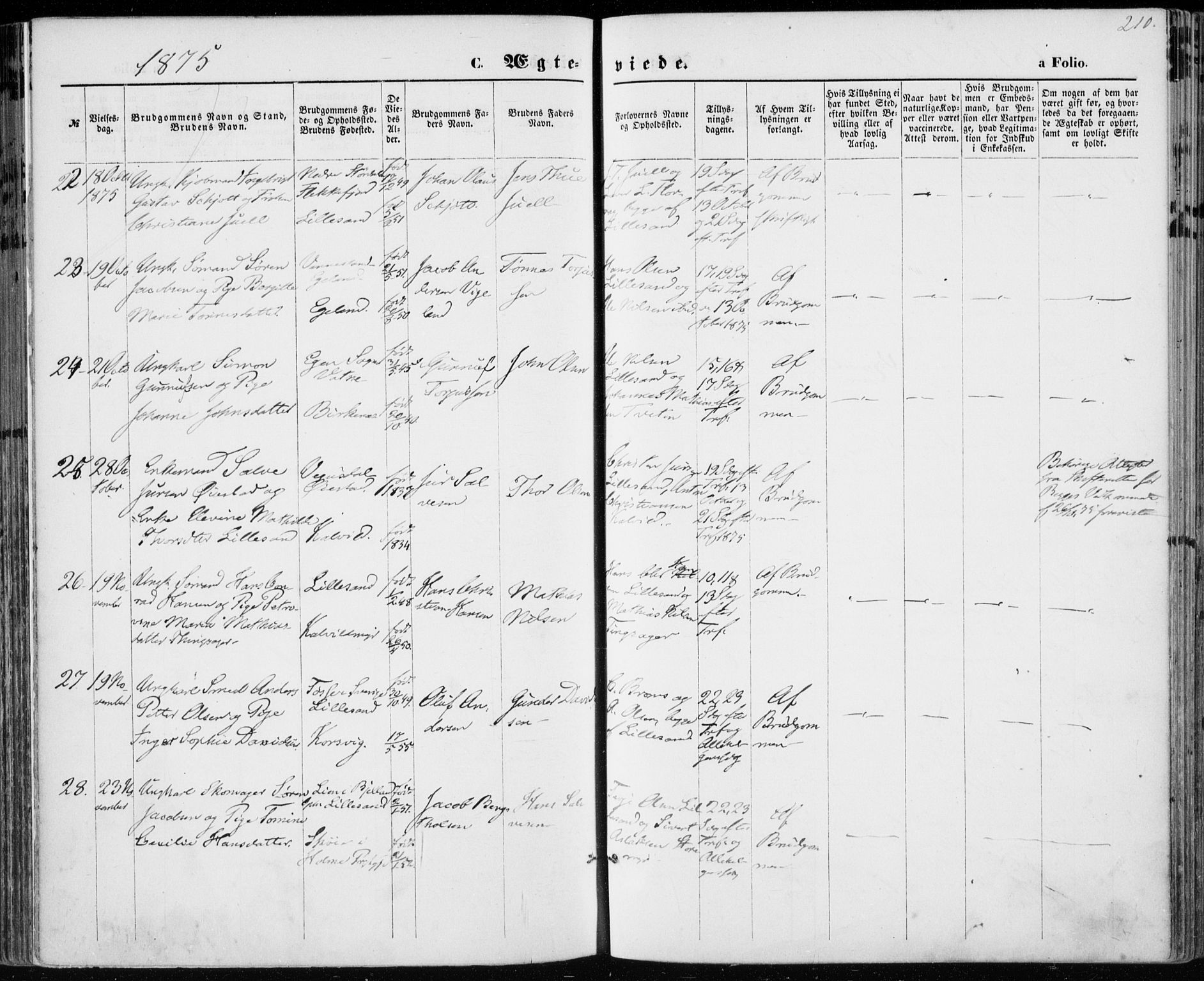 Vestre Moland sokneprestkontor, SAK/1111-0046/F/Fa/Fab/L0008: Parish register (official) no. A 8, 1873-1883, p. 210