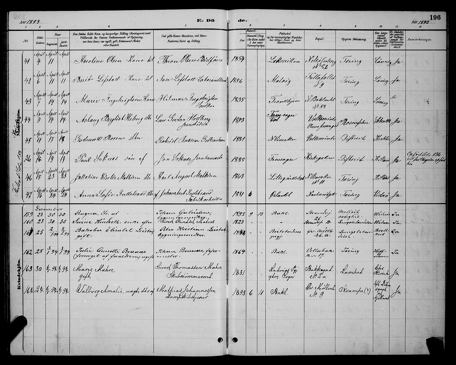 Ministerialprotokoller, klokkerbøker og fødselsregistre - Sør-Trøndelag, SAT/A-1456/604/L0223: Parish register (copy) no. 604C06, 1886-1897, p. 196