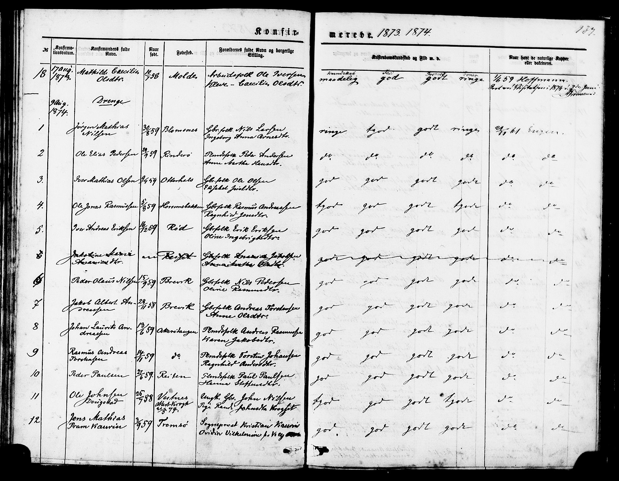 Ministerialprotokoller, klokkerbøker og fødselsregistre - Møre og Romsdal, AV/SAT-A-1454/560/L0720: Parish register (official) no. 560A04, 1873-1878, p. 137