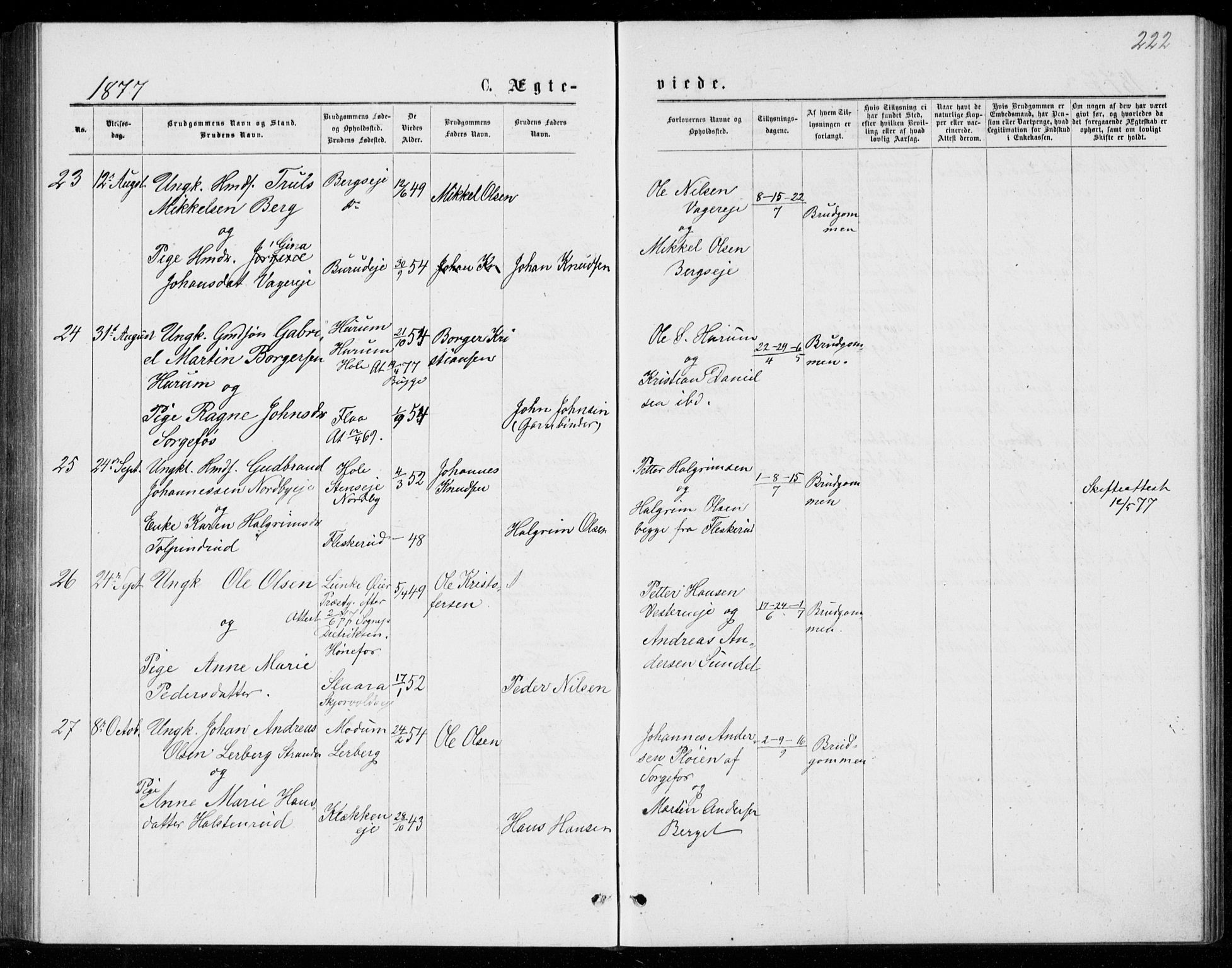 Norderhov kirkebøker, AV/SAKO-A-237/G/Ga/L0007: Parish register (copy) no. I 7, 1877-1887, p. 222