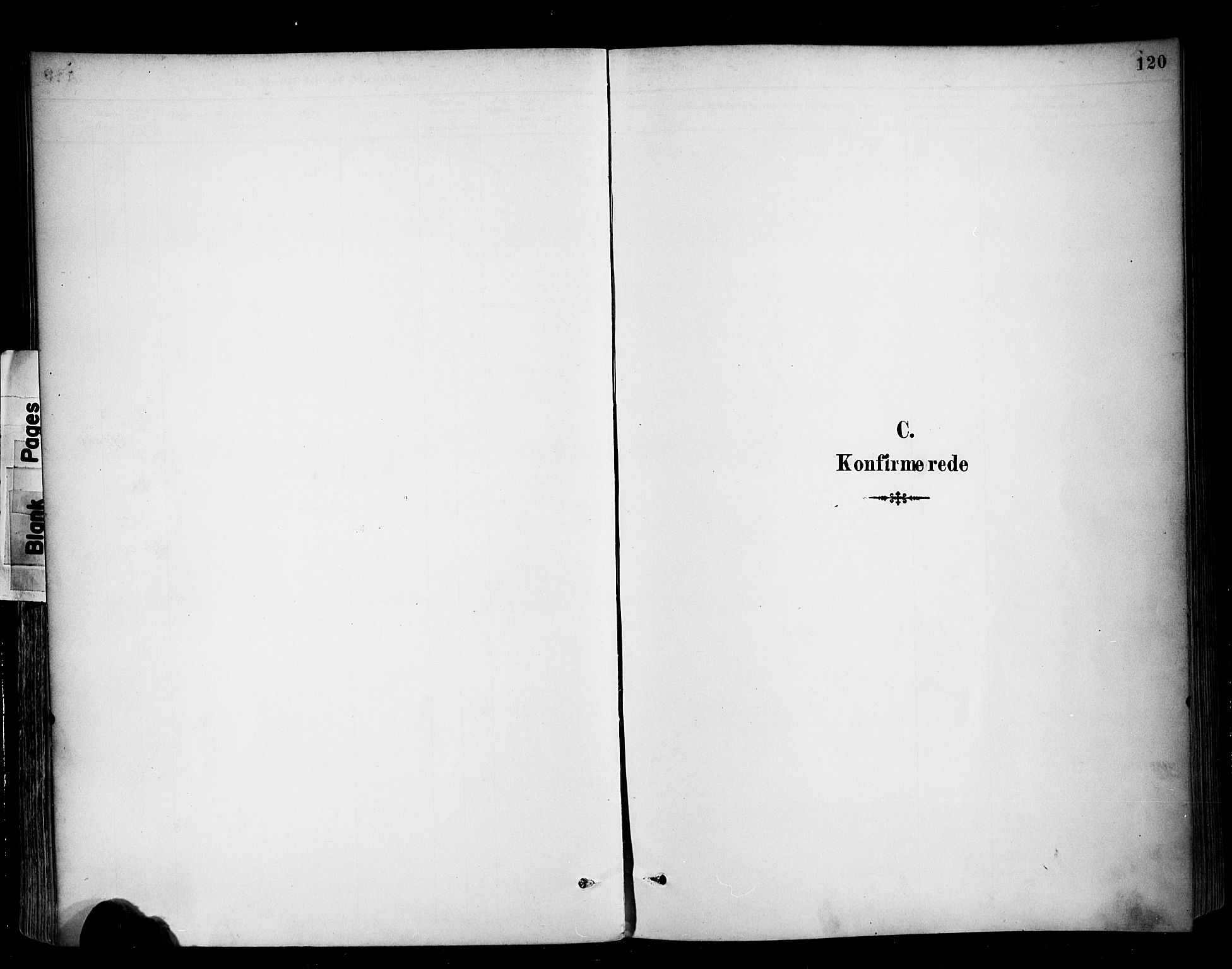 Ministerialprotokoller, klokkerbøker og fødselsregistre - Møre og Romsdal, SAT/A-1454/513/L0177: Parish register (official) no. 513A04, 1890-1906, p. 120