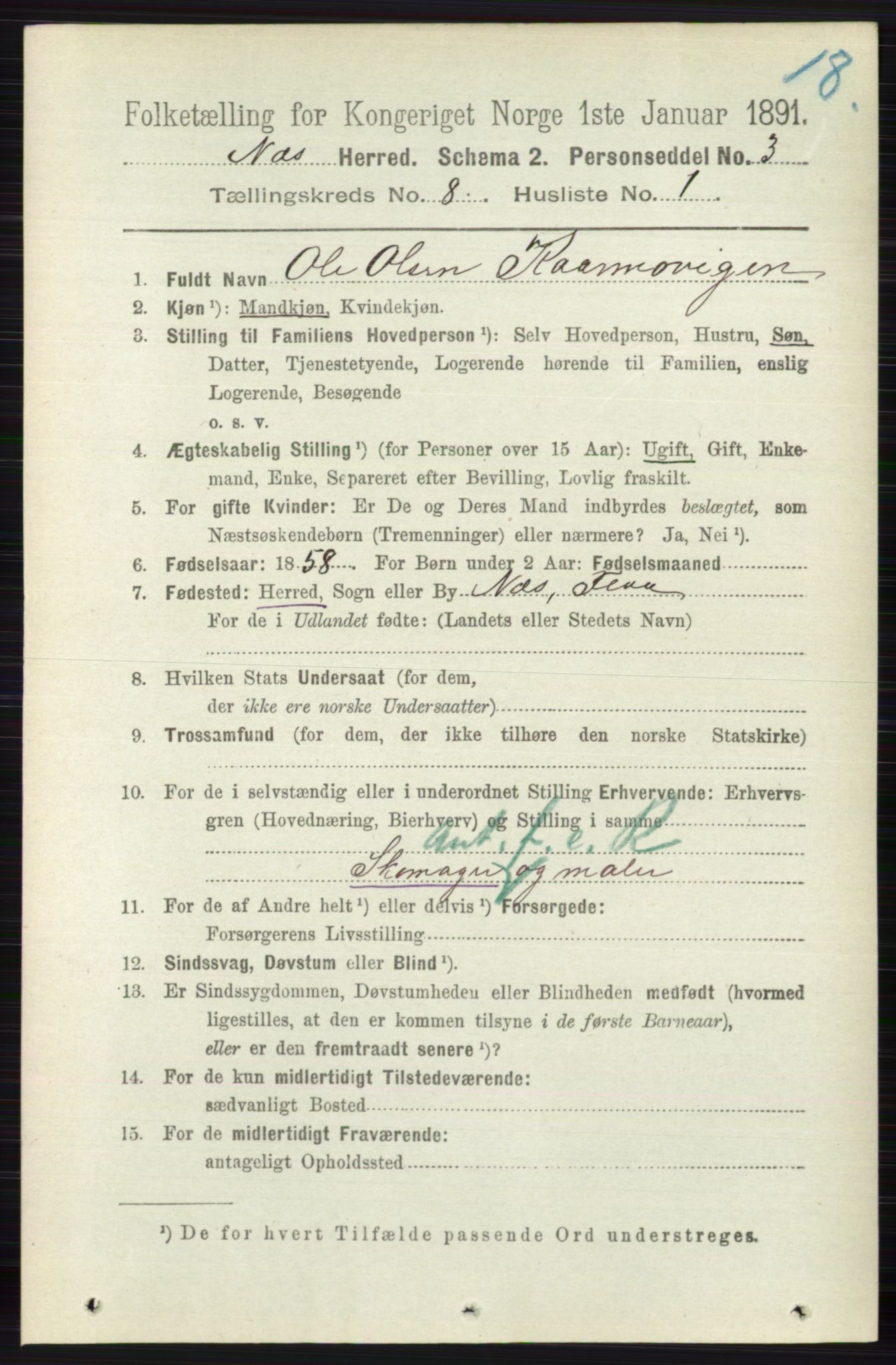 RA, 1891 census for 0616 Nes, 1891, p. 4081