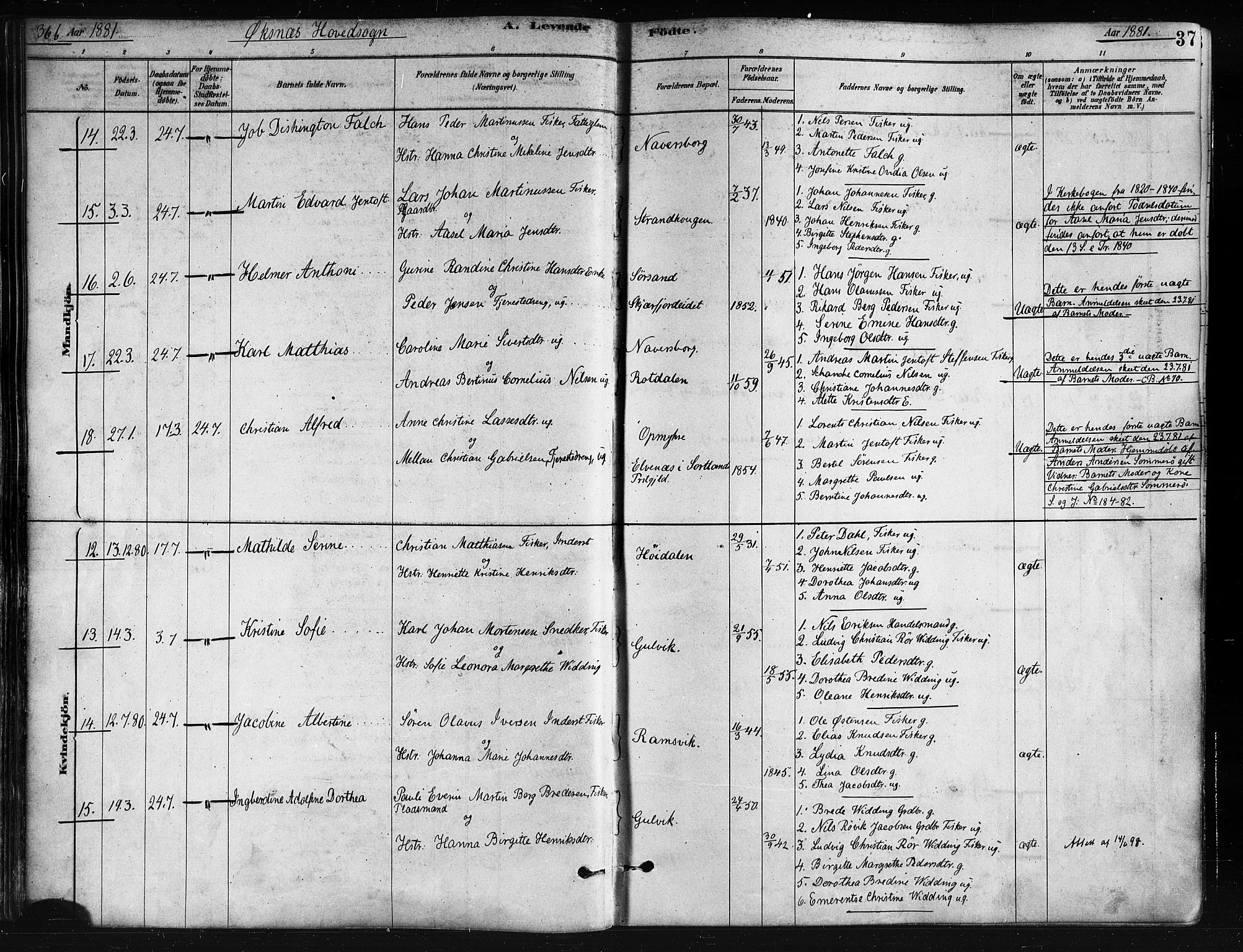 Ministerialprotokoller, klokkerbøker og fødselsregistre - Nordland, AV/SAT-A-1459/893/L1335: Parish register (official) no. 893A08 /1, 1878-1884, p. 37