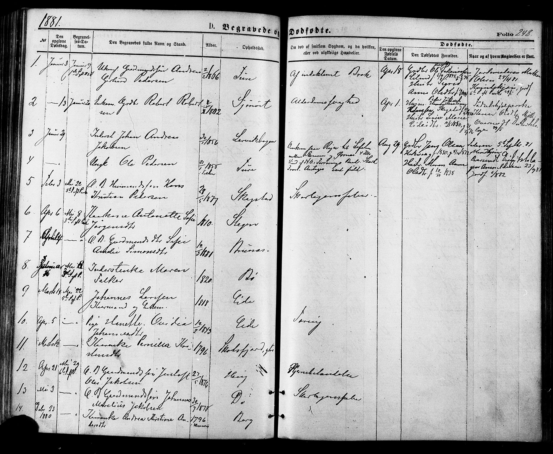 Ministerialprotokoller, klokkerbøker og fødselsregistre - Nordland, SAT/A-1459/855/L0802: Parish register (official) no. 855A10, 1875-1886, p. 248
