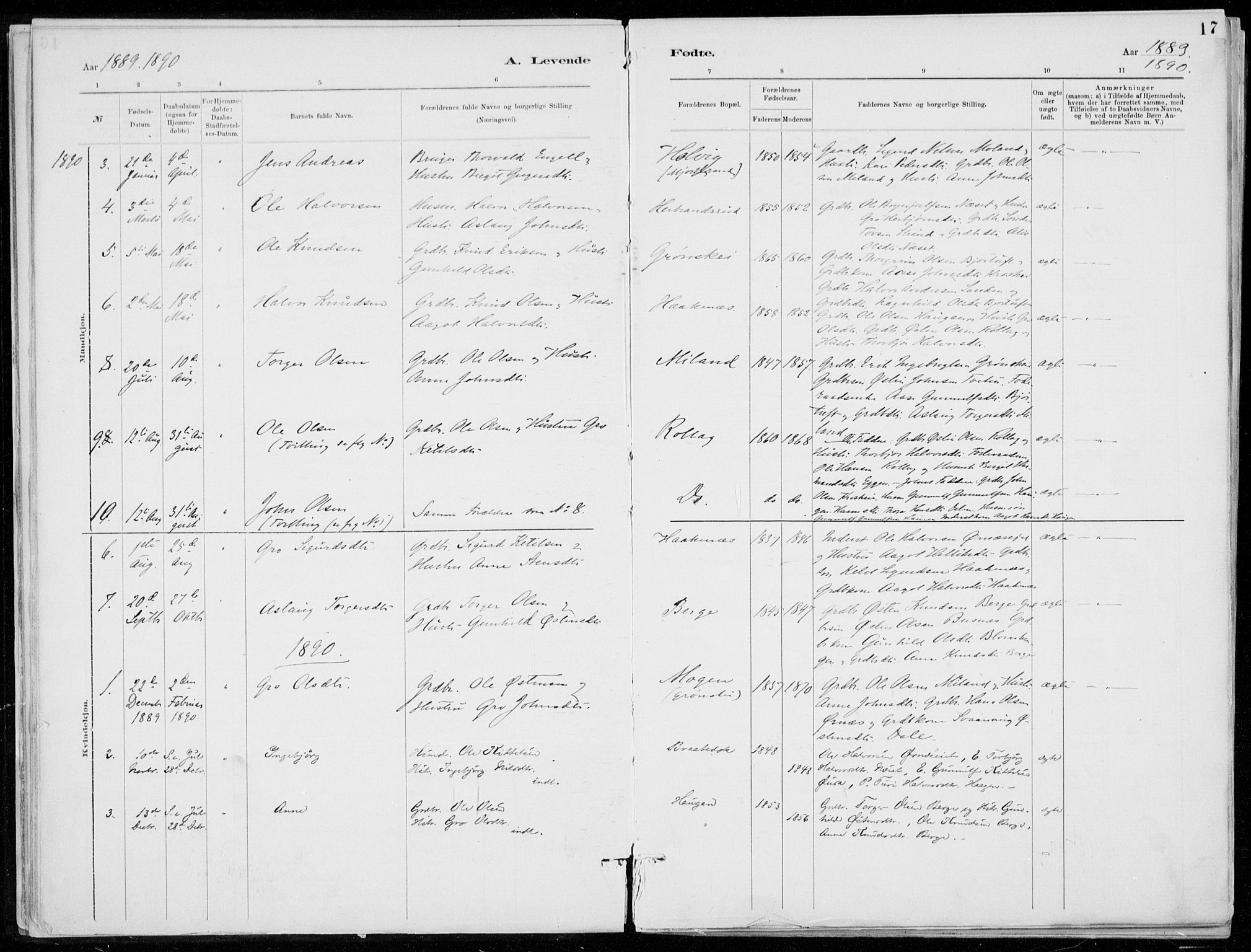 Tinn kirkebøker, SAKO/A-308/F/Fb/L0002: Parish register (official) no. II 2, 1878-1917, p. 17