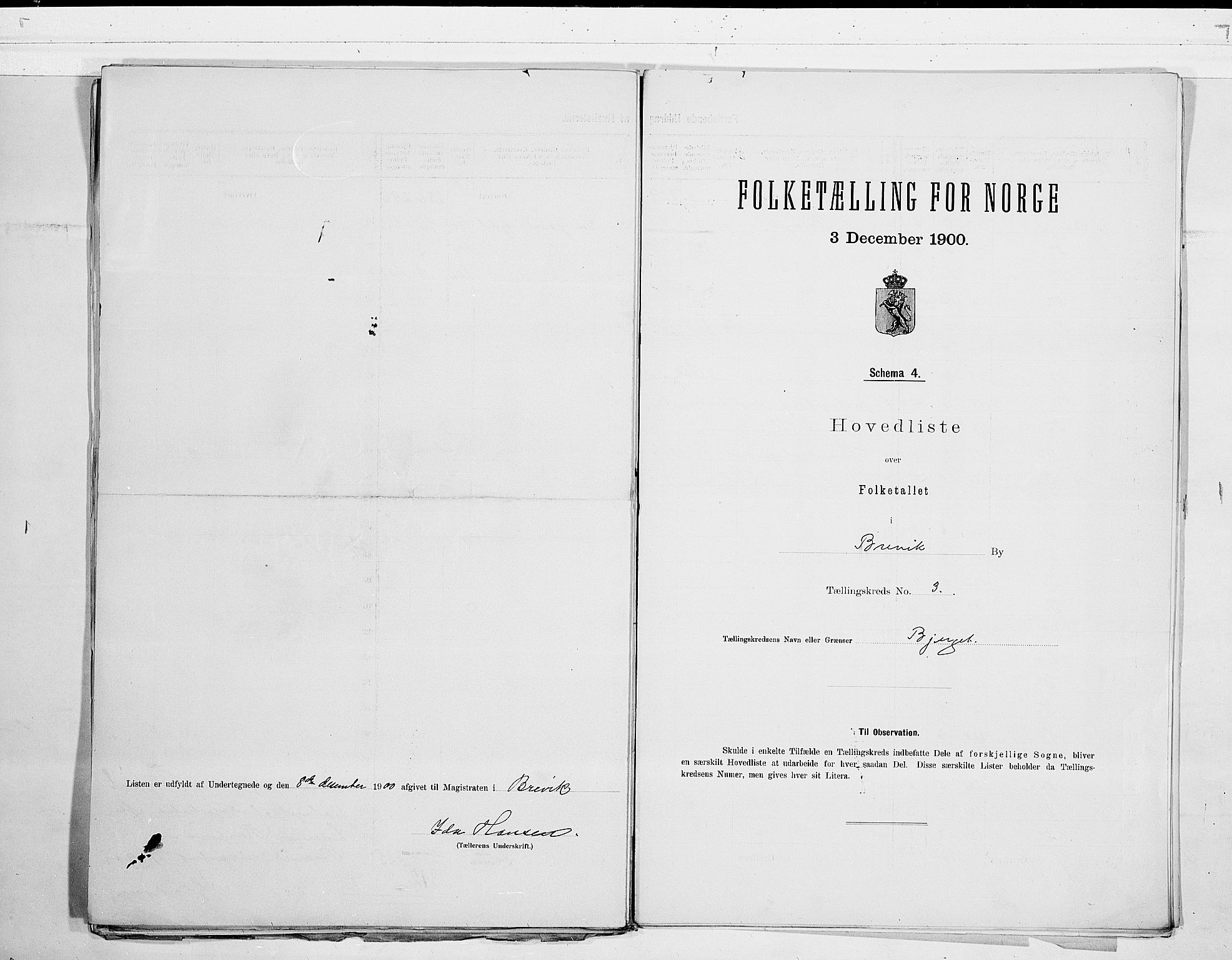 SAKO, 1900 census for Brevik, 1900, p. 8