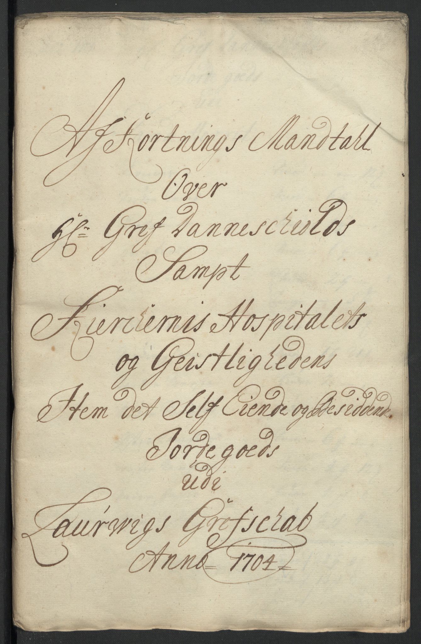 Rentekammeret inntil 1814, Reviderte regnskaper, Fogderegnskap, RA/EA-4092/R33/L1978: Fogderegnskap Larvik grevskap, 1704-1705, p. 201
