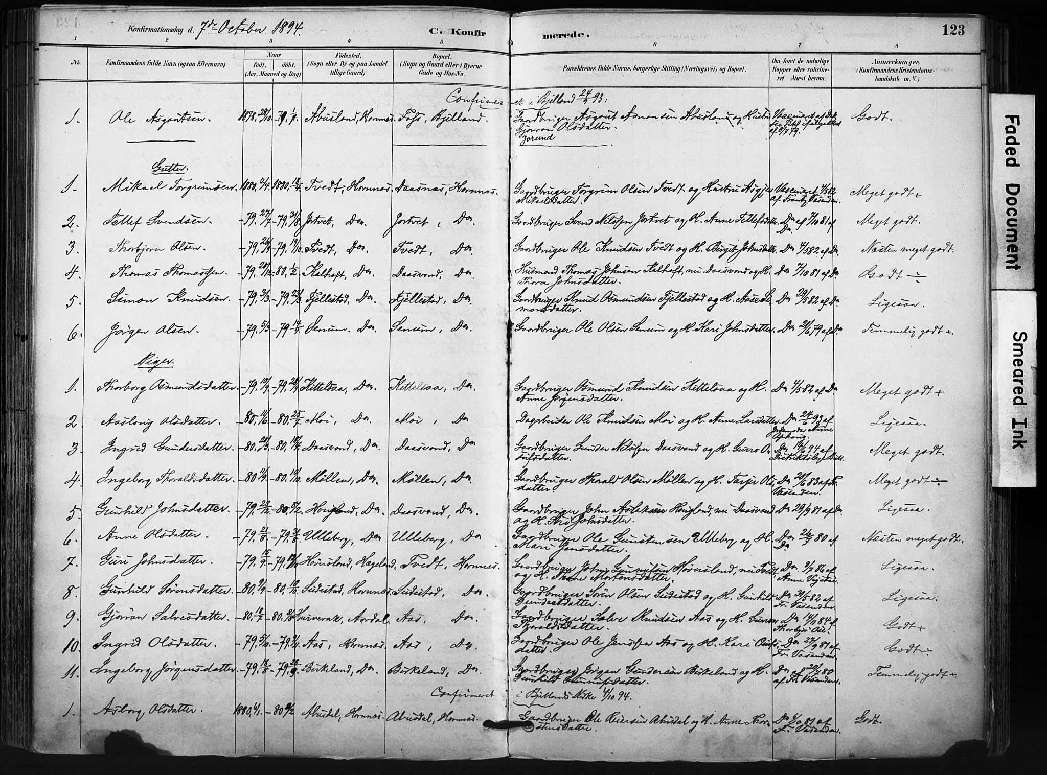 Evje sokneprestkontor, SAK/1111-0008/F/Fa/Fab/L0003: Parish register (official) no. A 3, 1884-1909, p. 123
