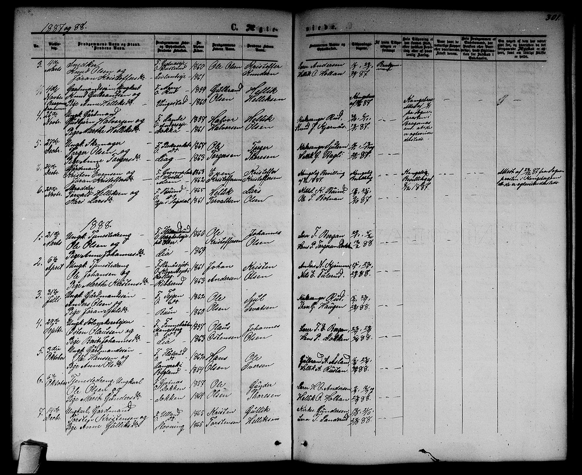 Flesberg kirkebøker, SAKO/A-18/G/Ga/L0003: Parish register (copy) no. I 3, 1861-1889, p. 301