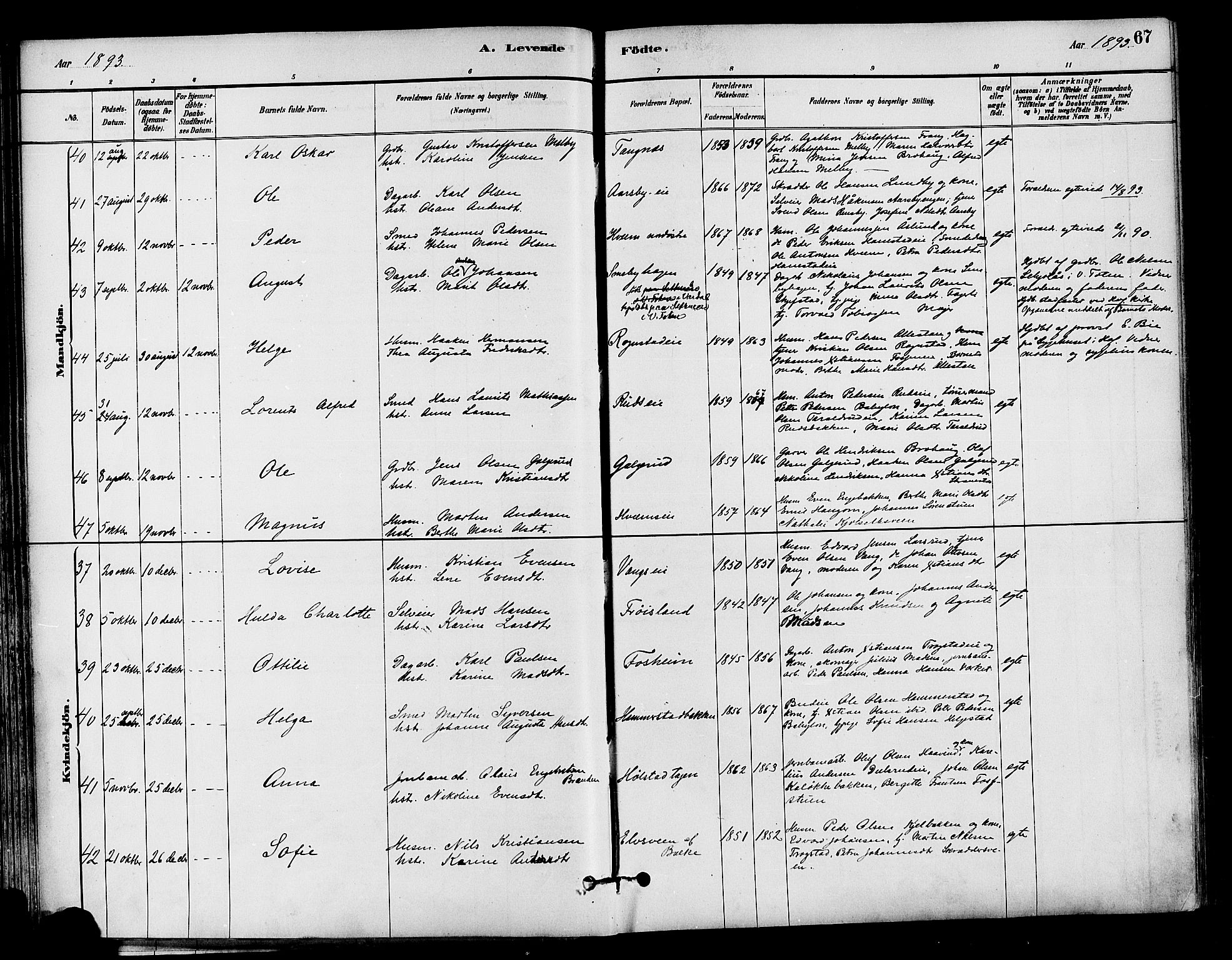 Østre Toten prestekontor, AV/SAH-PREST-104/H/Ha/Haa/L0007: Parish register (official) no. 7, 1881-1896, p. 67