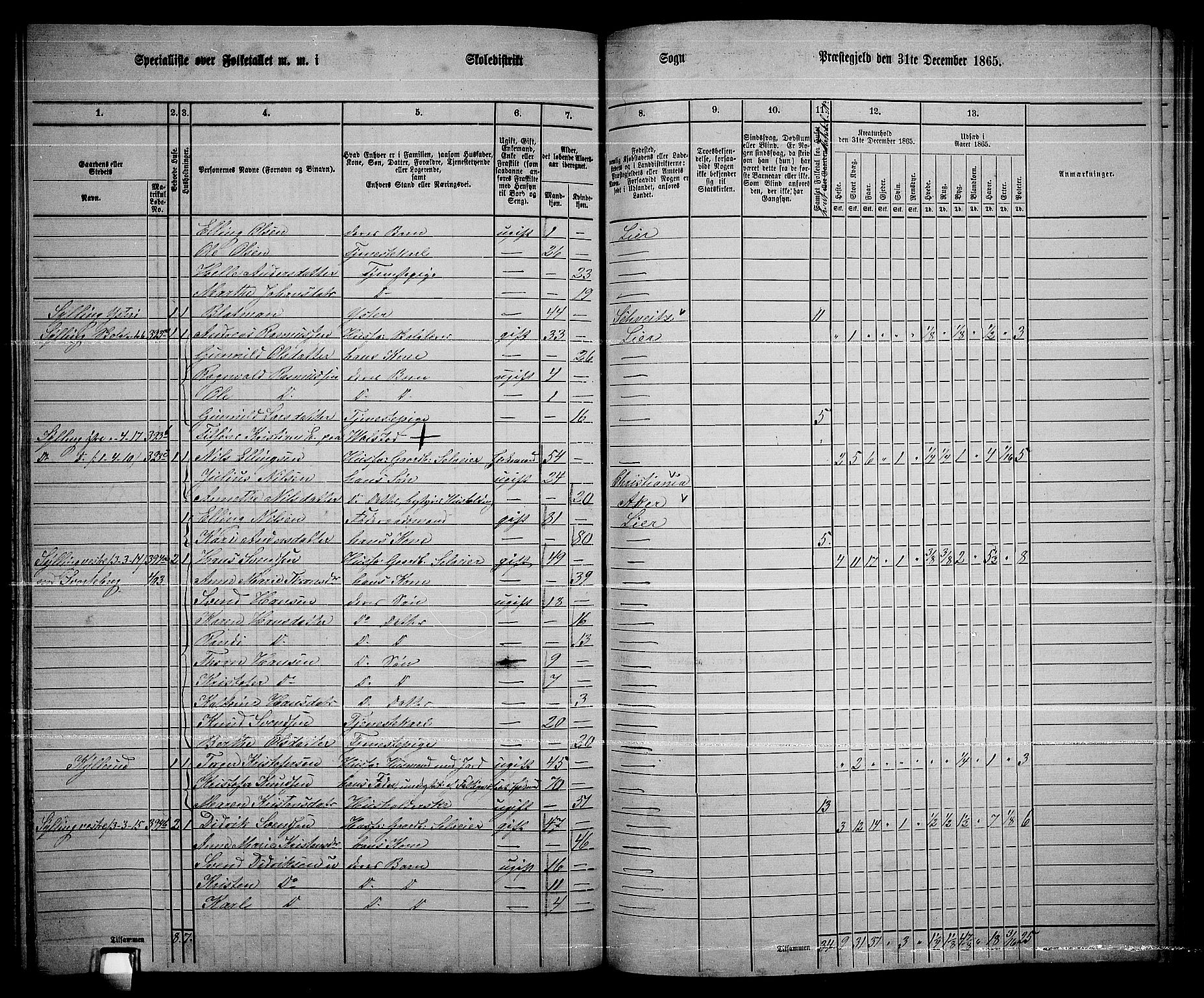 RA, 1865 census for Lier, 1865, p. 217