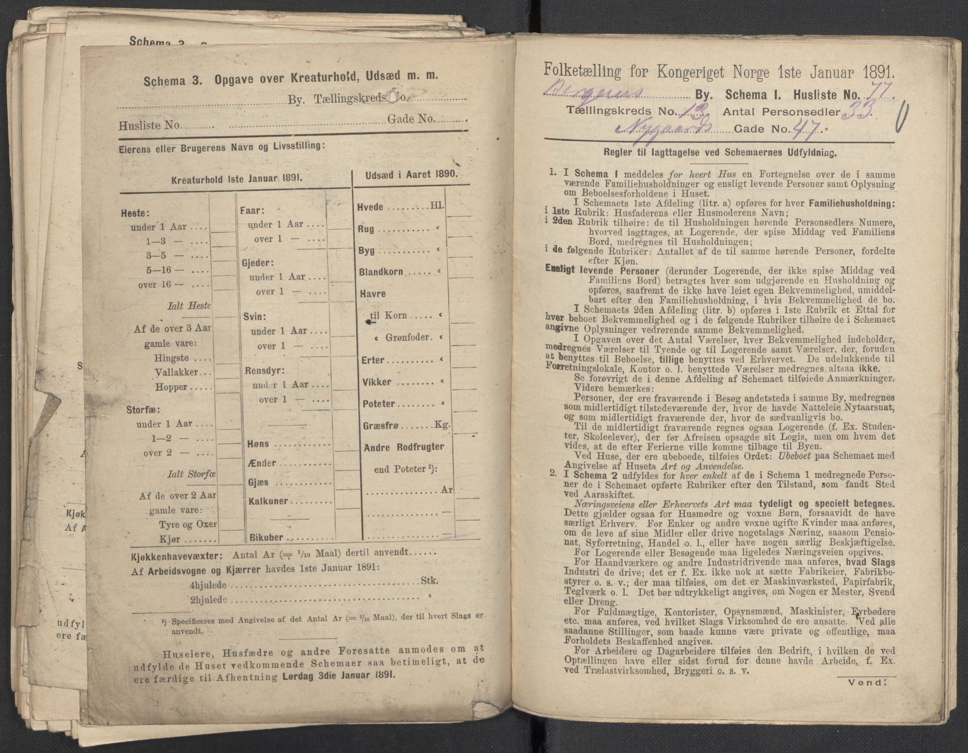 RA, 1891 Census for 1301 Bergen, 1891, p. 2153