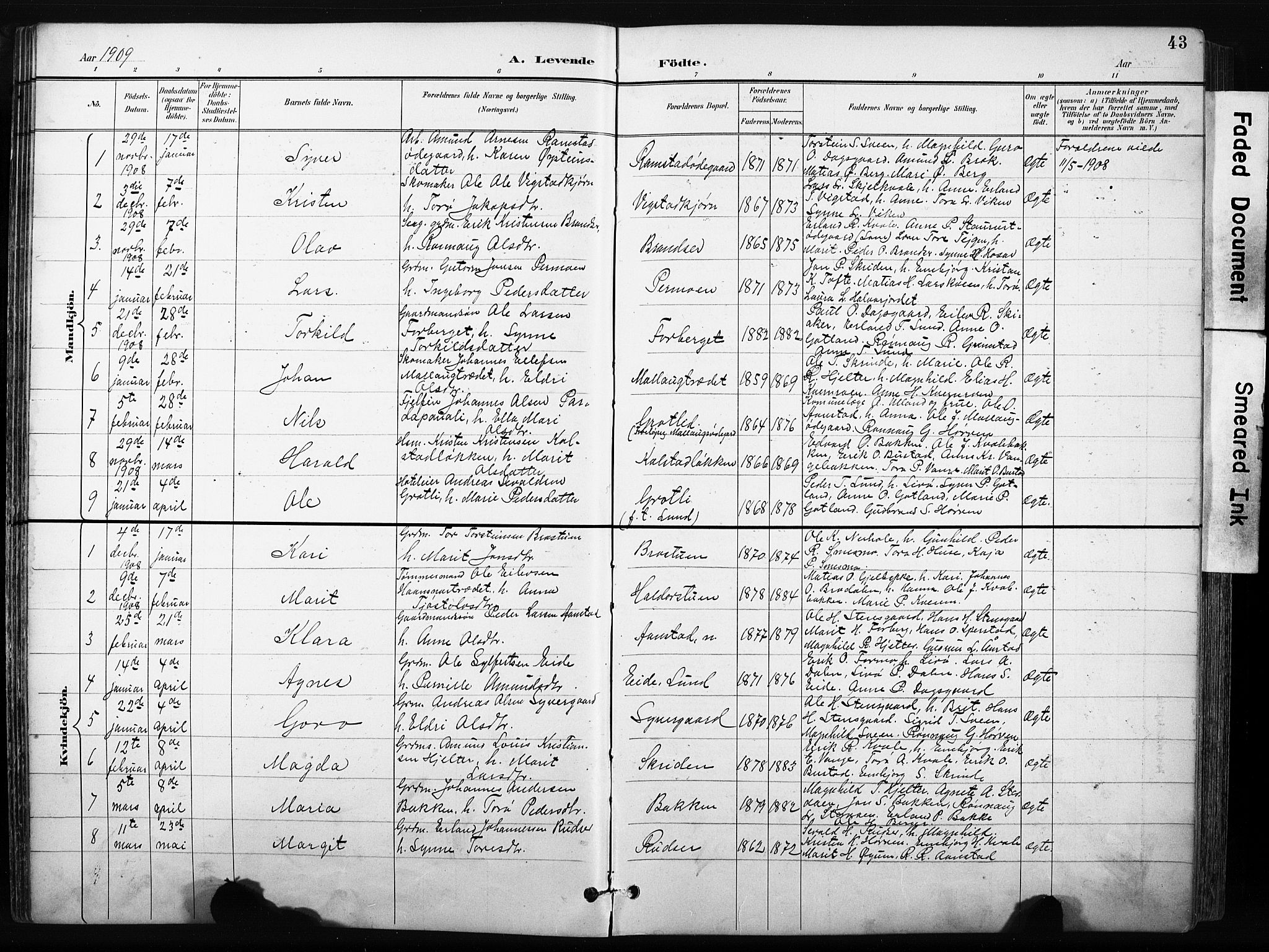 Skjåk prestekontor, AV/SAH-PREST-072/H/Ha/Hab/L0003: Parish register (copy) no. 3, 1893-1932, p. 43