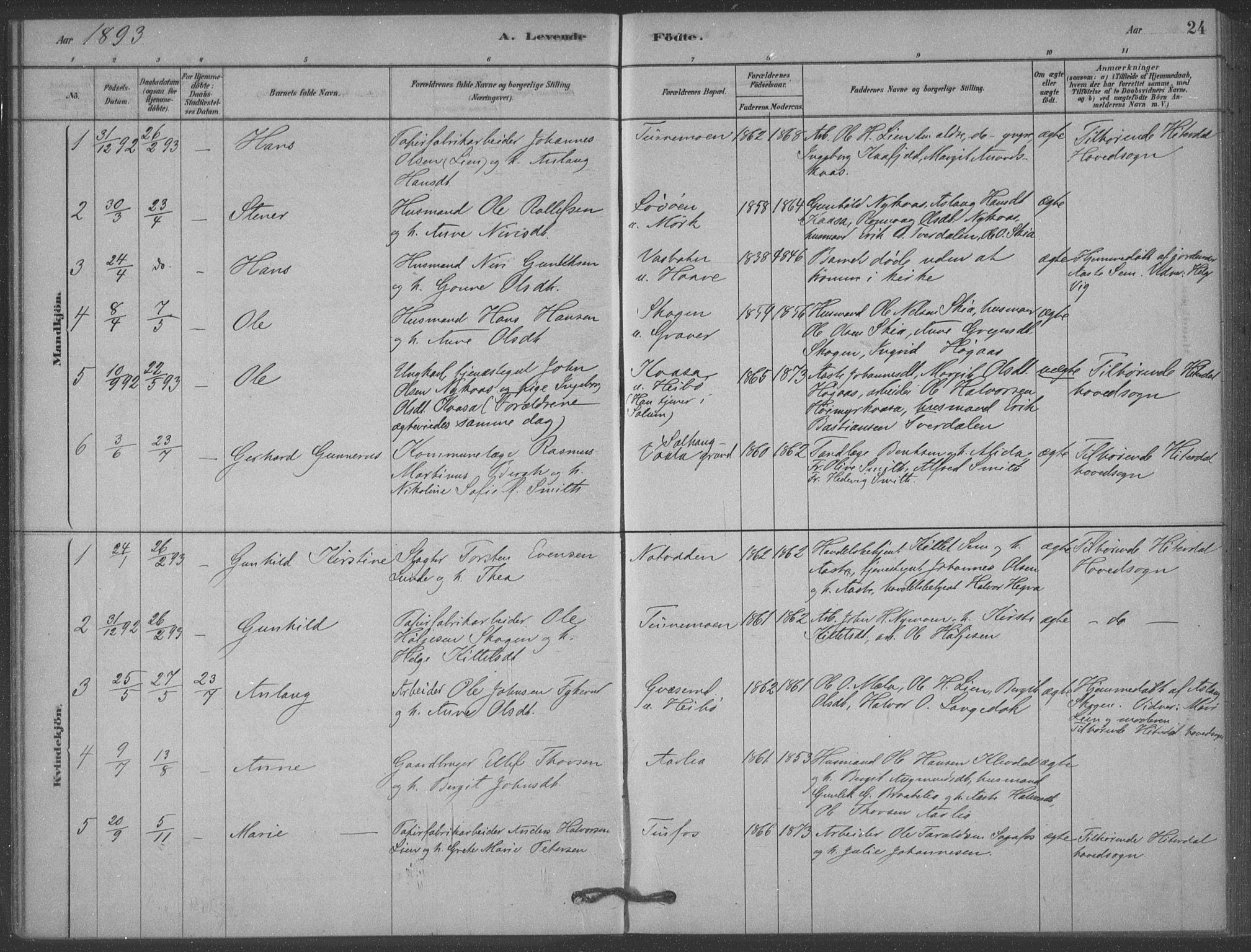 Heddal kirkebøker, SAKO/A-268/F/Fb/L0002: Parish register (official) no. II 2, 1878-1913, p. 24